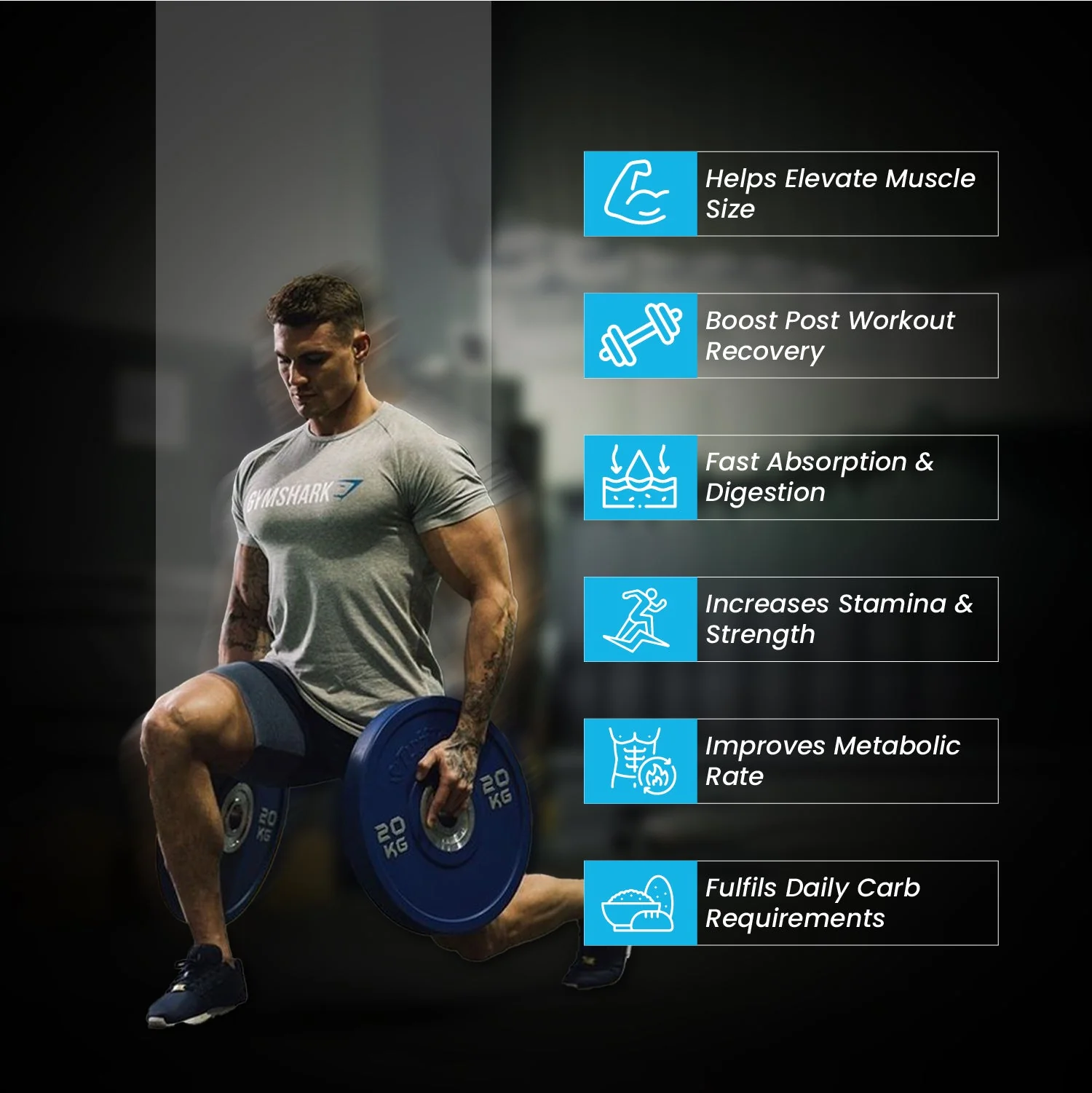 Fitspire Mass Gainer Pack Of 2 With Shaker - Image 15