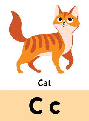 Flash Cards Alphabet - 30 Double Sided Wipe Clean Flash Cards for Kids (With Free Pen) - Image 8
