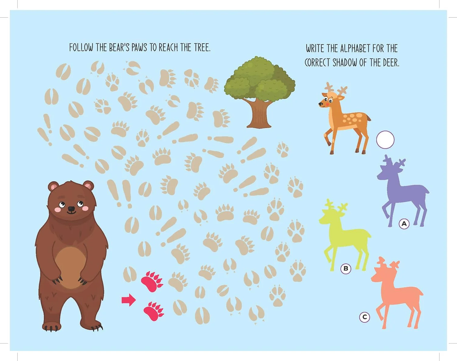Fun with Animals Activity & Colouring - Image 4