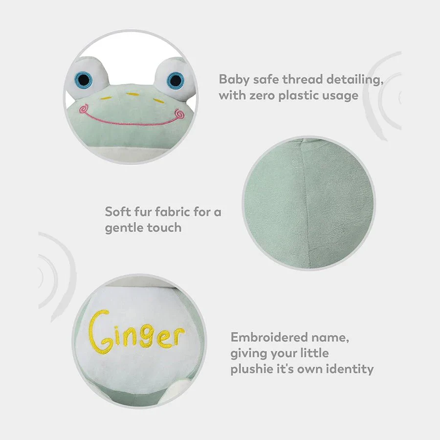 Ginger Cute Frog Soft Toys - Image 10