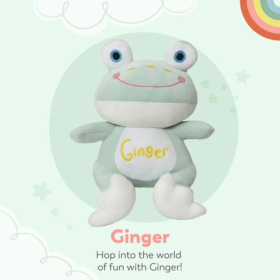 Ginger Cute Frog Soft Toys - Image 4