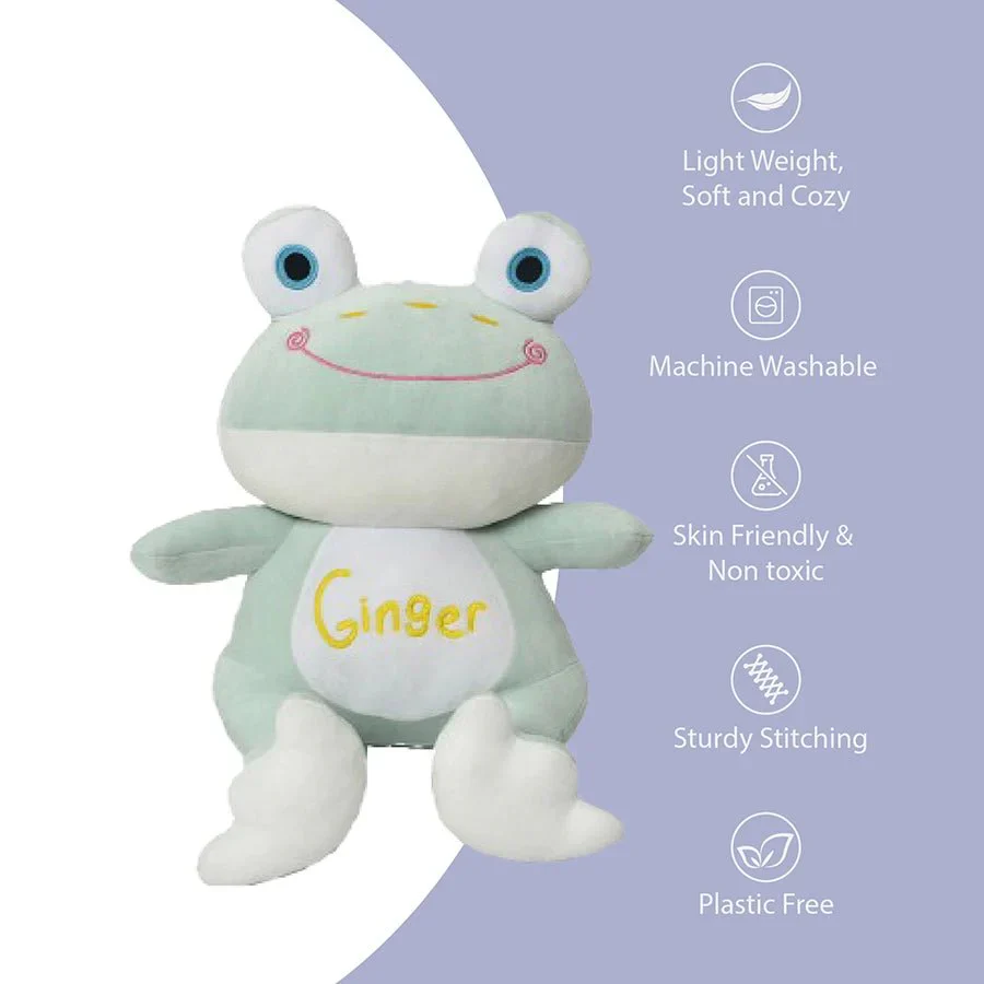 Ginger Cute Frog Soft Toys - Image 9