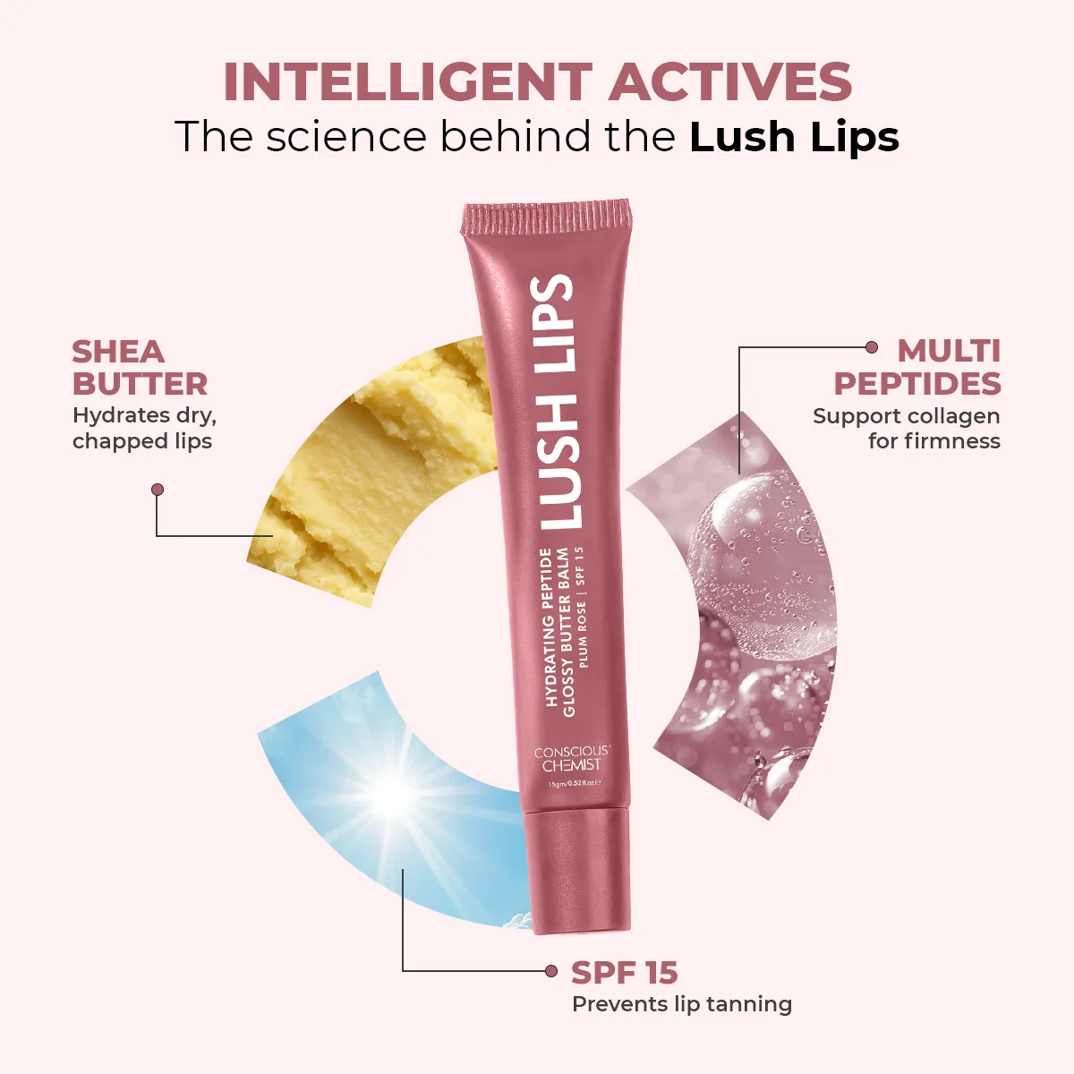 Glossy Peptide Lip Balm | Plum Rose | Hydrates & Plumps | Lush Lips - 15 Gms | Sale - Image 3