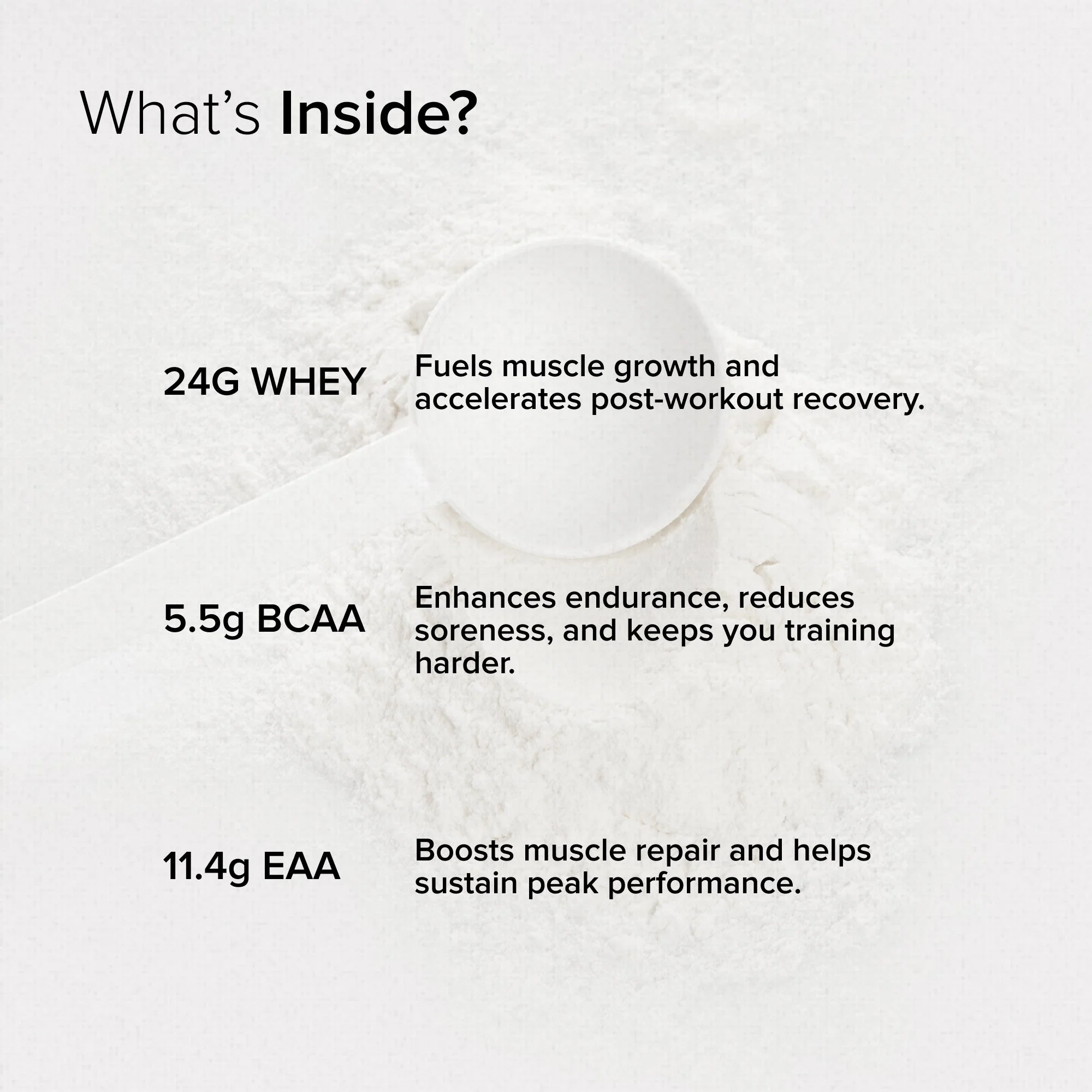 GNC Pro Performance 100% Whey Protein Powder & Steel Shaker (Chocolate Fudge, 2 lbs with Shaker) - Image 6