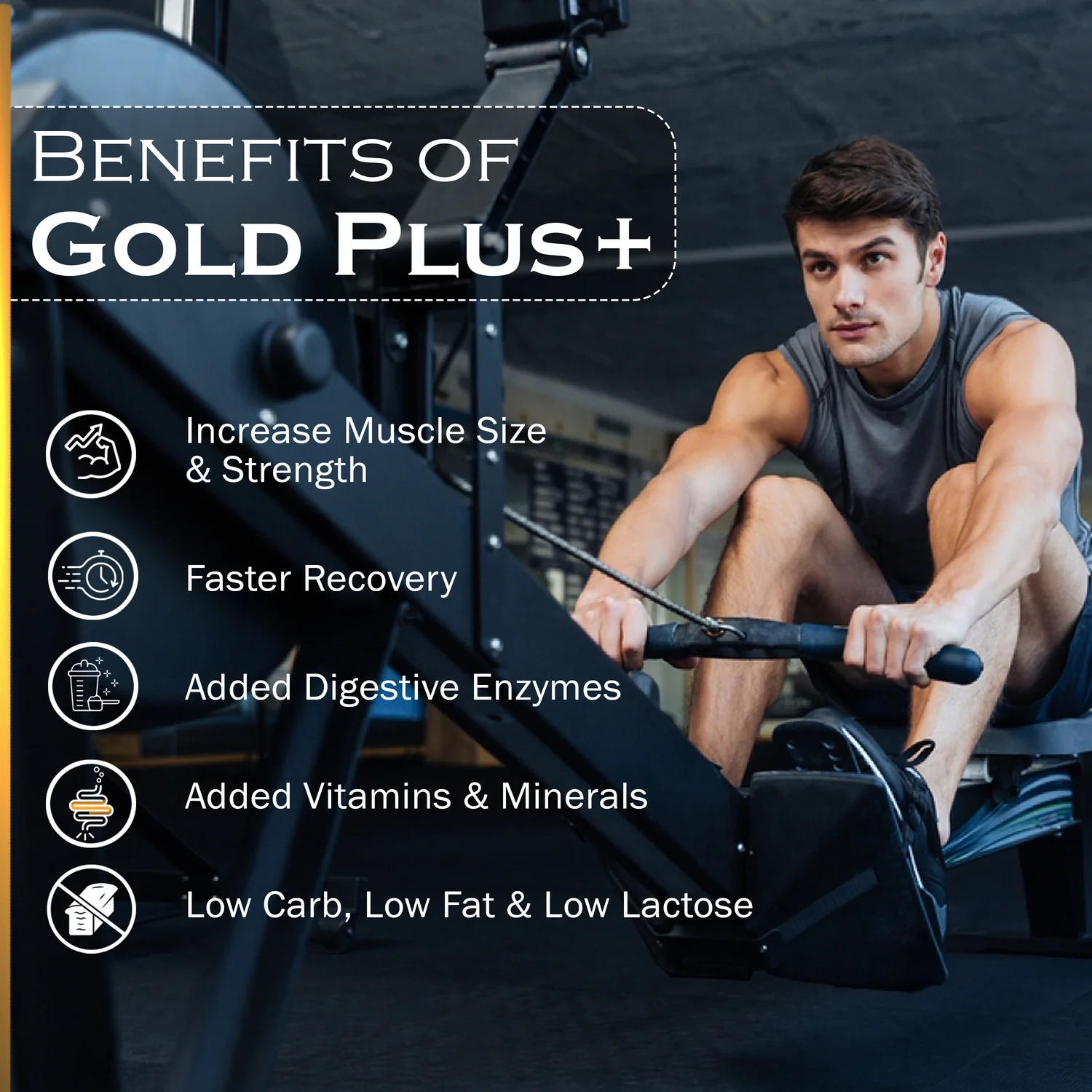 Gold Plus+ Whey Protein Concentrate - Image 4