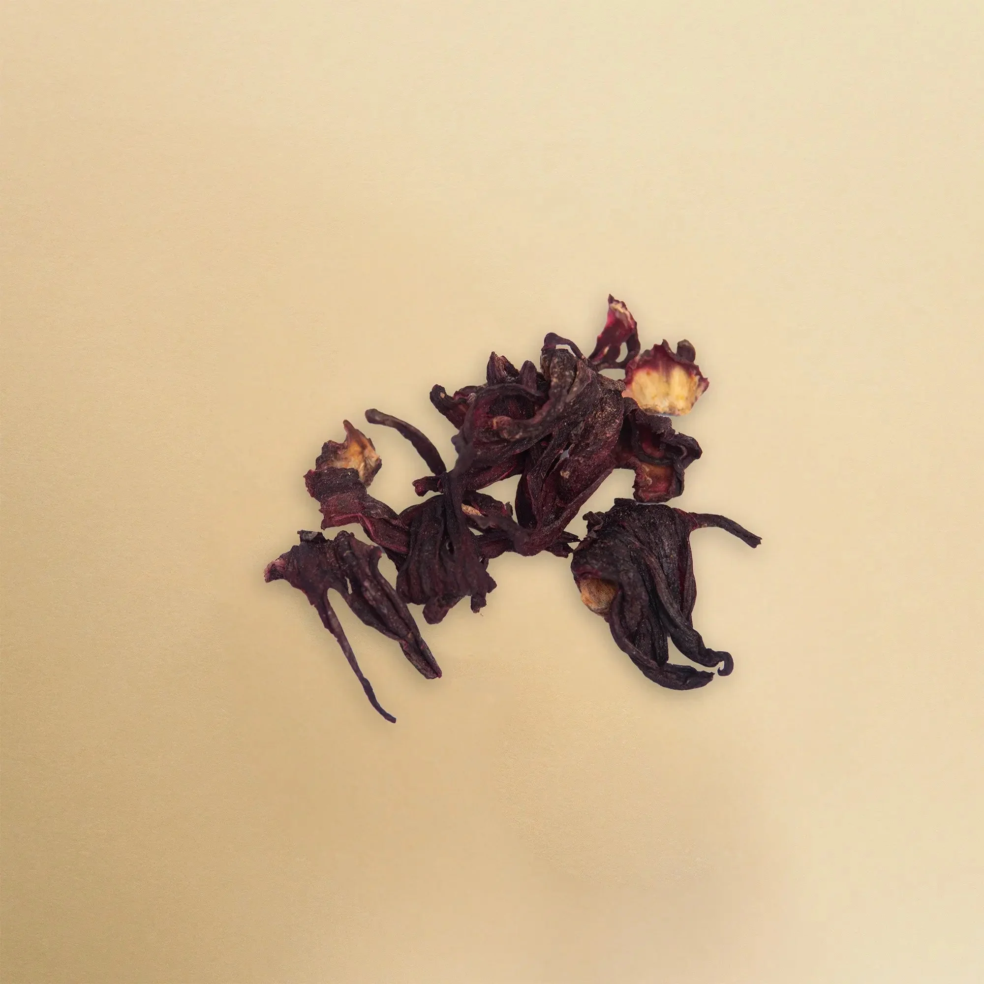 Hibiscus Tea – Organic, Floral Blend, 50g - Image 4