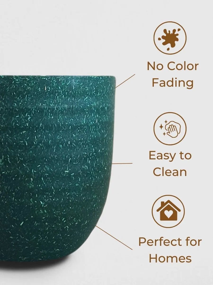 Indoor Plants Combo for Home Decor in Eco Pots (Small) - Image 7