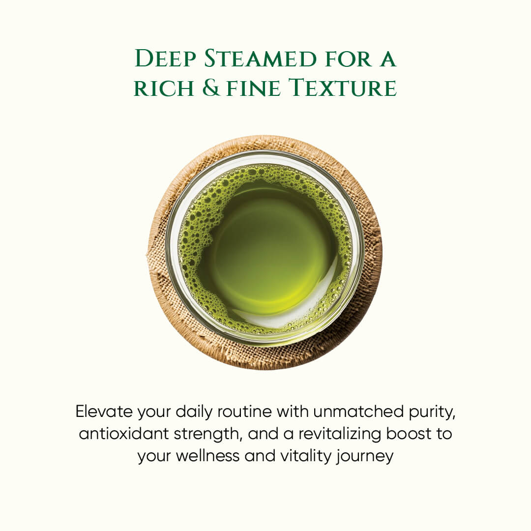 Japanese Sencha Tea | Elite Grade | Green Tea | Spring Harvest | Deep Steamed - Image 5
