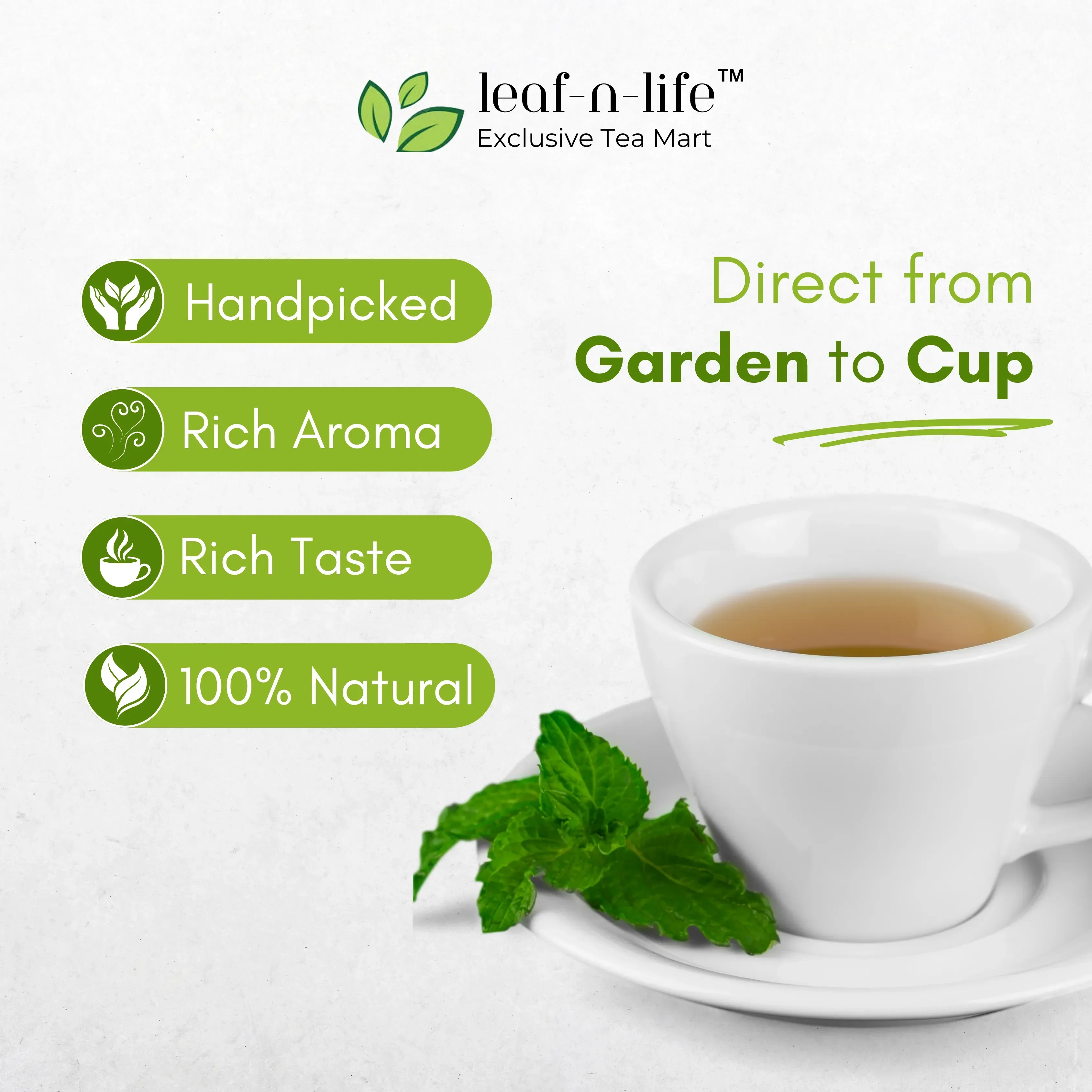 Jasmine Jyoti – Jasmine Green Tea for Relaxation & Immunity Boost - Image 3
