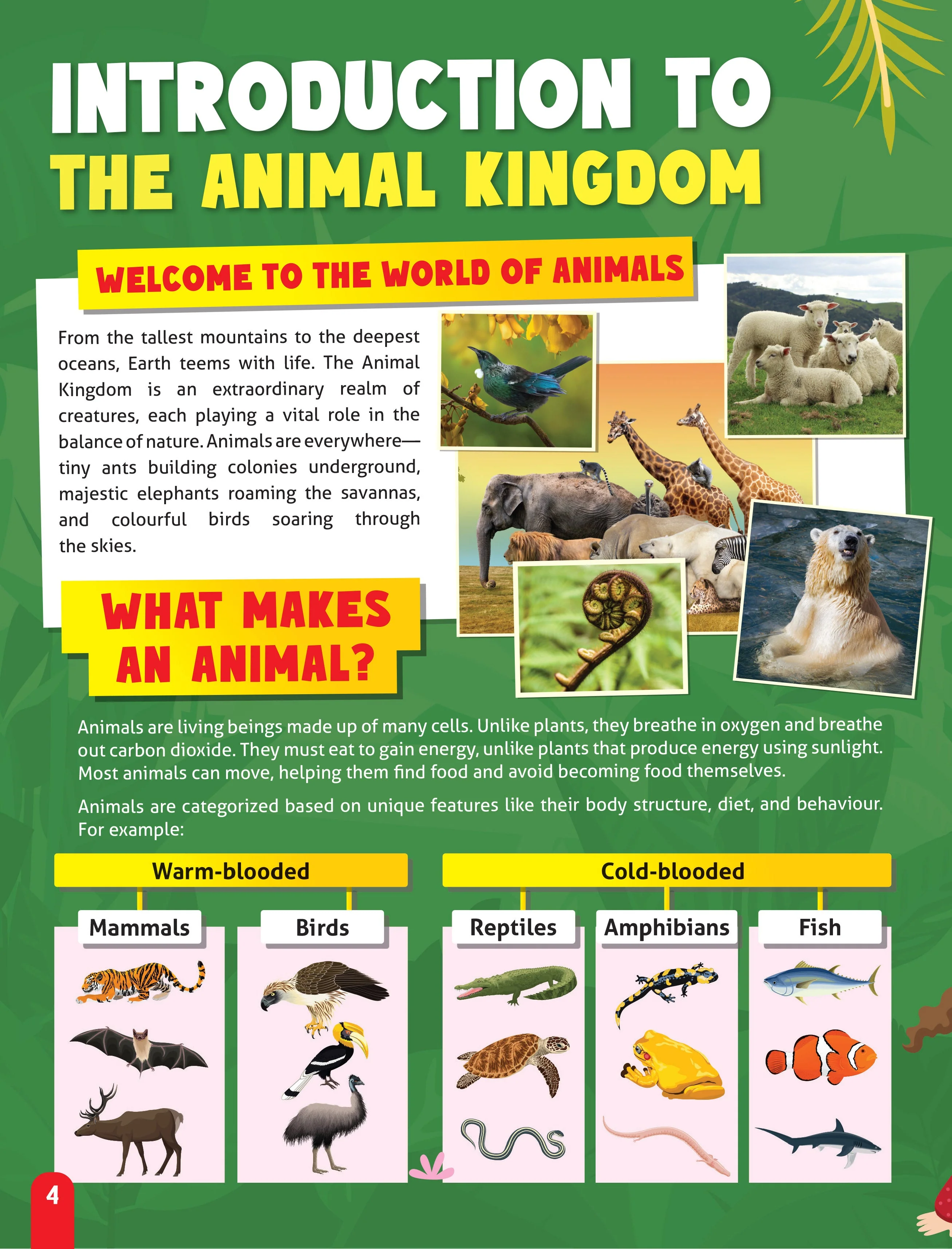 Junior Genius: Amazing Animals – A Fun-Filled Learning Book for Kids Age 7+ | Discover Incredible Creatures with Facts, Activities, and Puzzles - Image 5