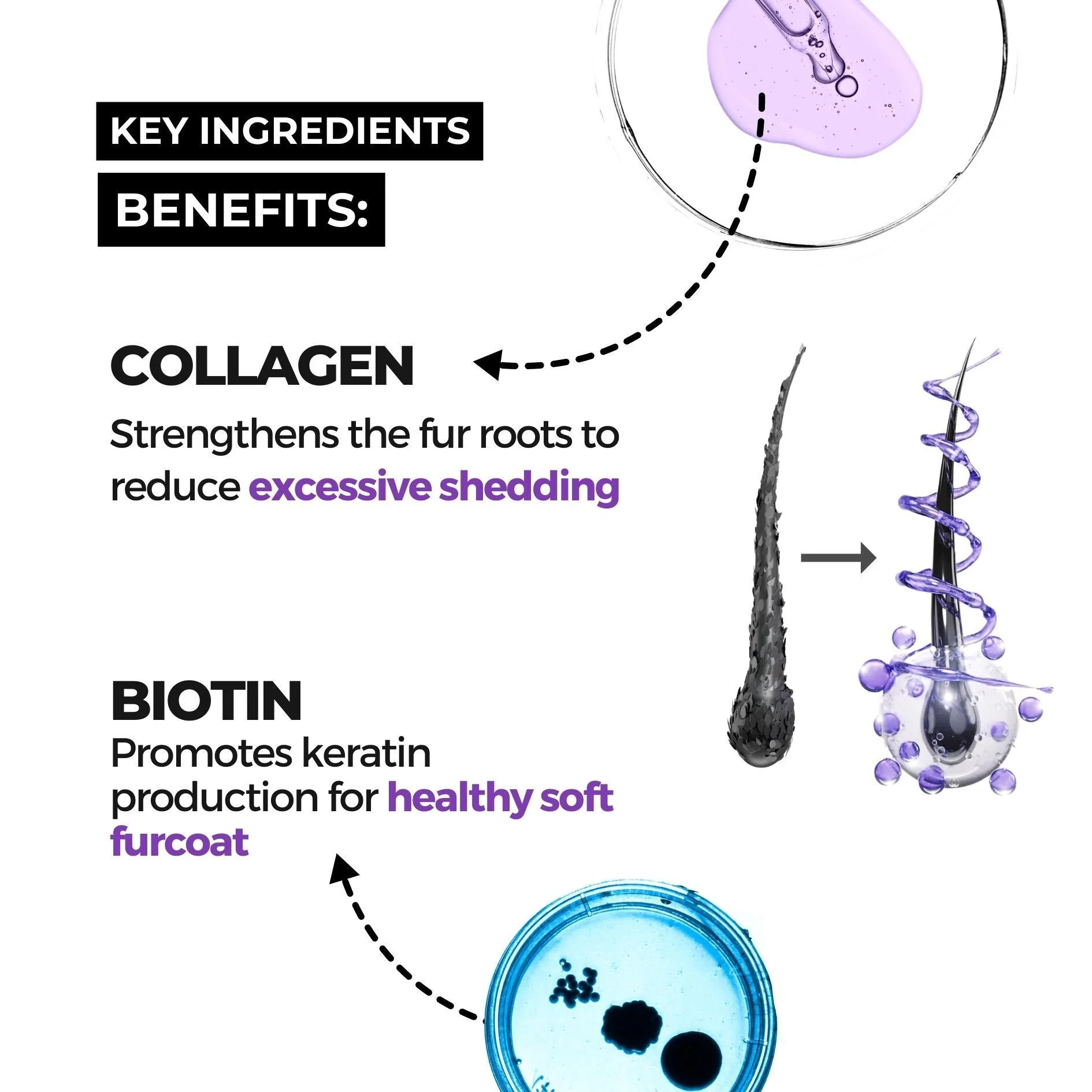 Keratin+ & Tick Defense Pet Shampoo Combo - Image 3