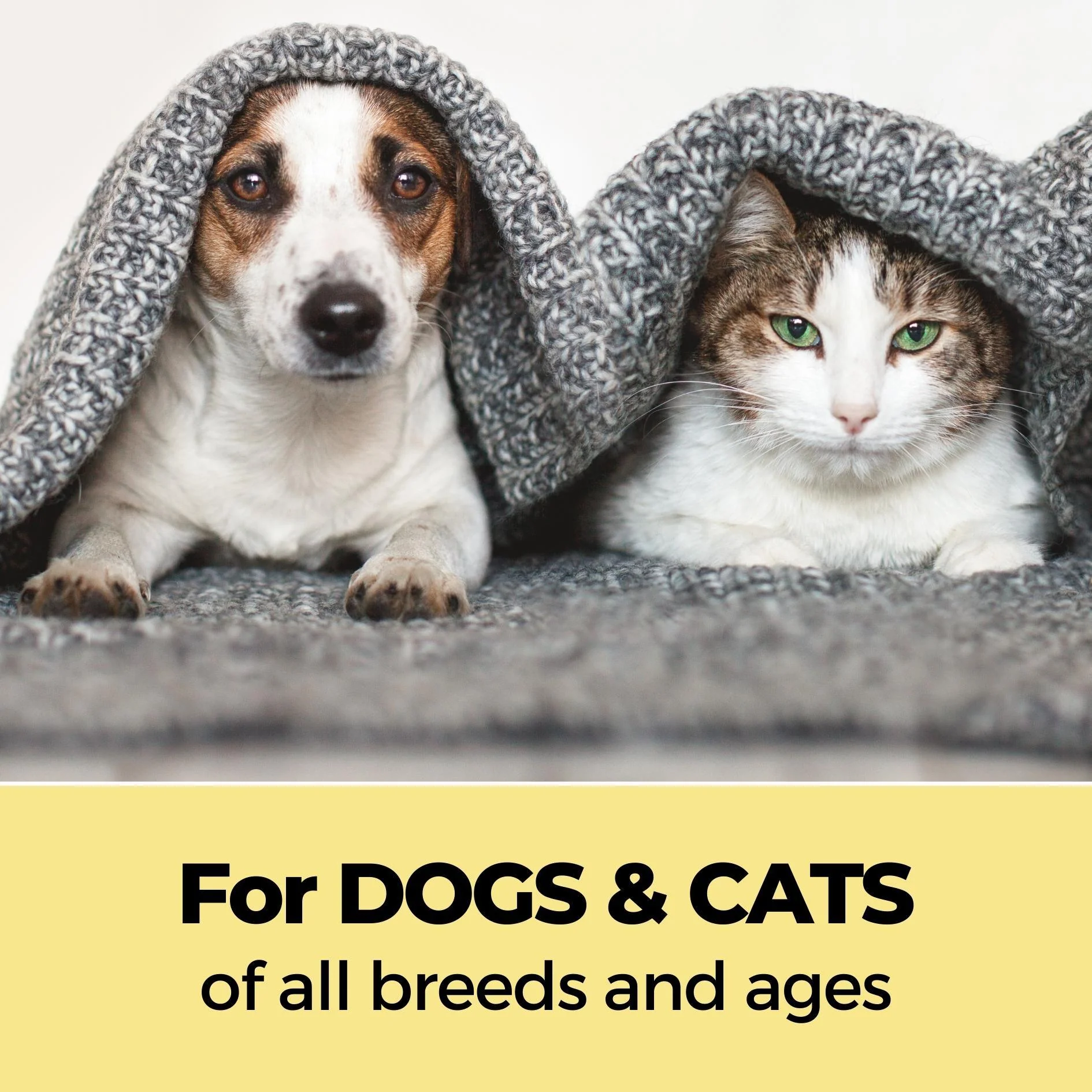 Keratin+ & Tick Defense Pet Shampoo Combo - Image 6