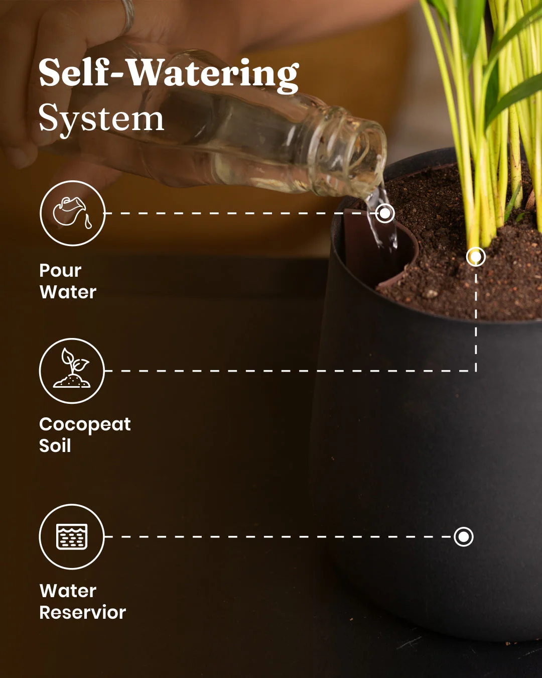 Lucky Bonsai Plant With Self Watering Pot - Image 63