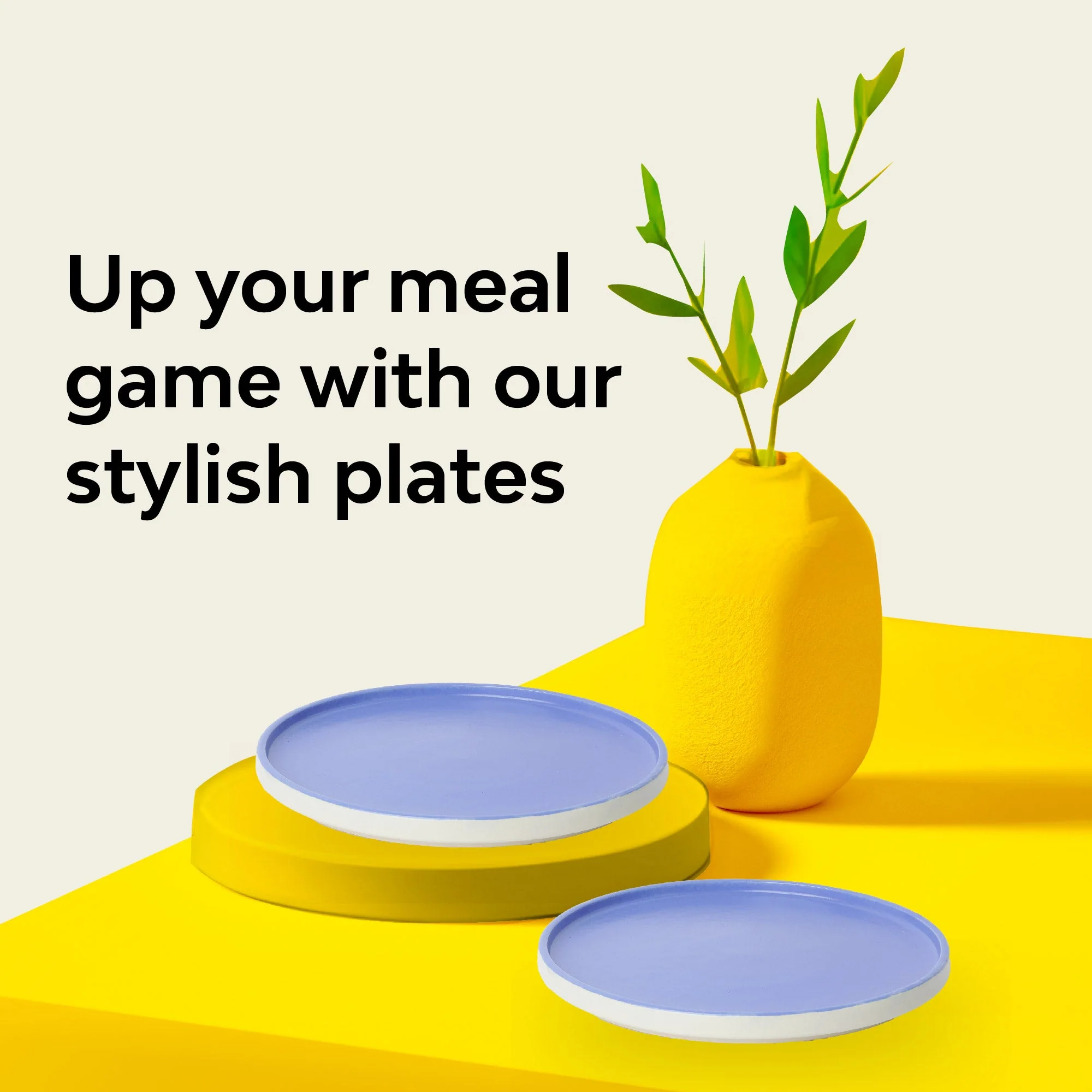 Matte Rim Side Plate | Set Of 2 - Image 4