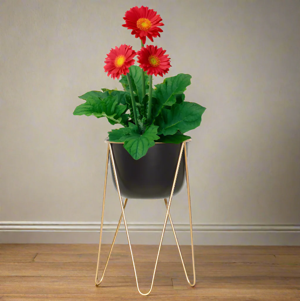 Metal Planter with Golden Stand – Black Pot, 38.5 cm - Image 2
