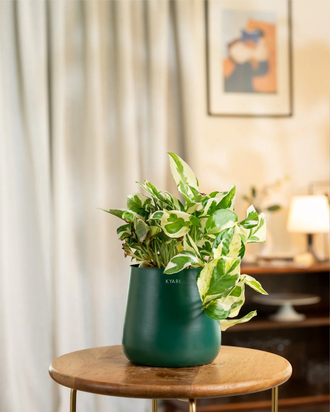 Money N'Joy Plant with Medium Metal Self Watering Pot_ - Image 124