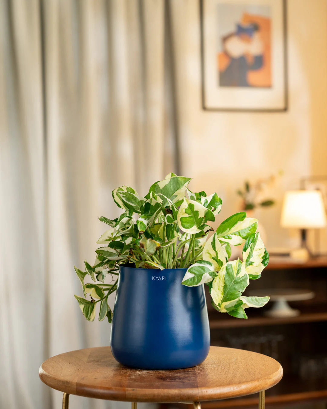 Money N'Joy Plant with Medium Metal Self Watering Pot_ - Image 55