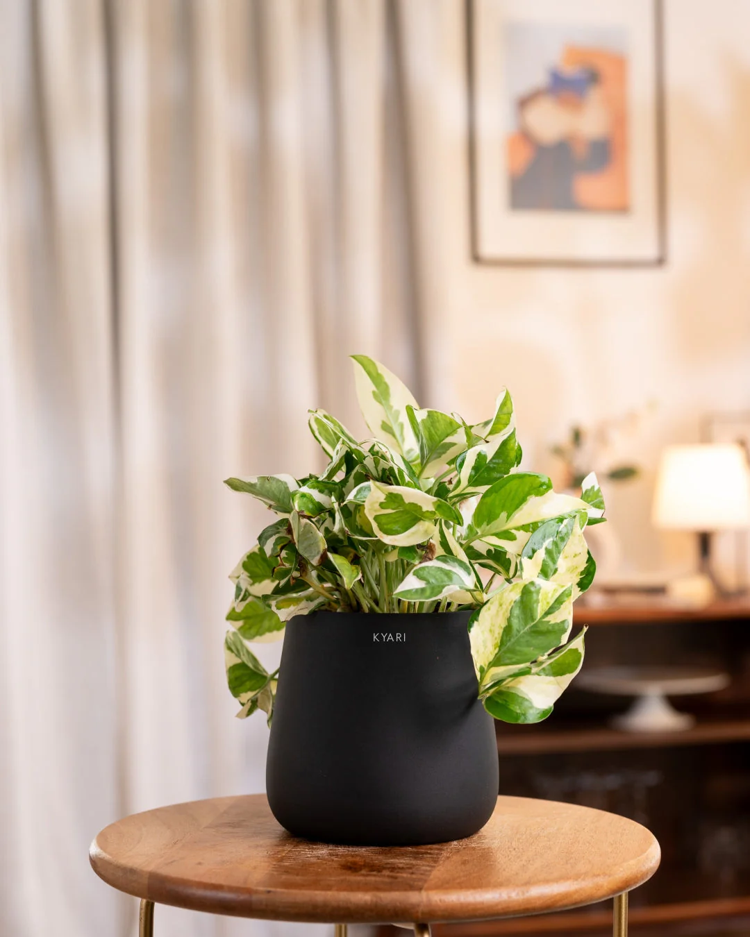 Money N'Joy Plant with Medium Metal Self Watering Pot_ - Image 61