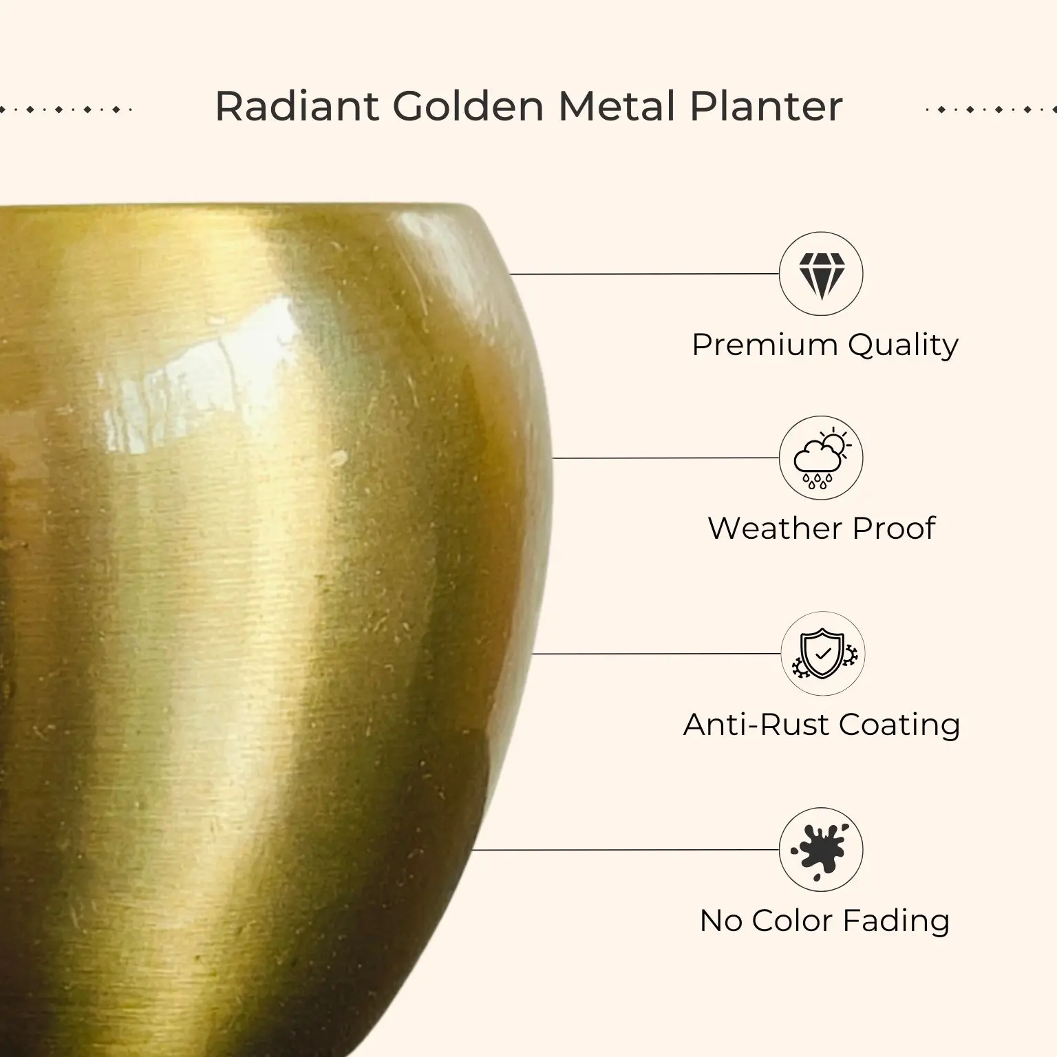 Money Plant Gold King (Small) in Golden Metal Pot - Image 3