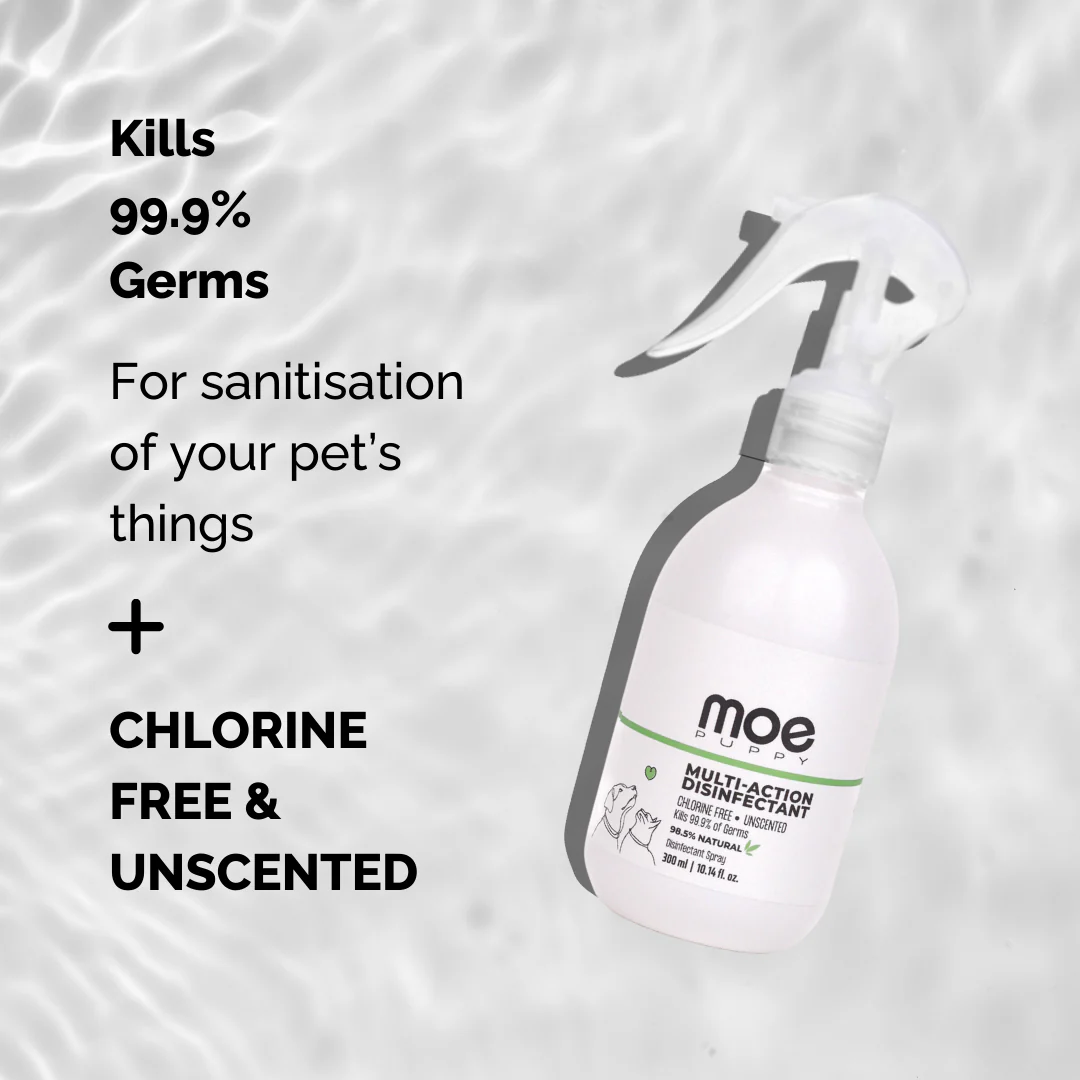 Multi-Action Disinfectant - Pet Safe Disinfectant Spray - Image 3