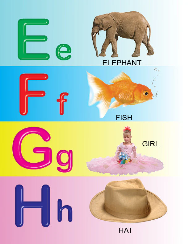 My First All in One Board Book - Image 3