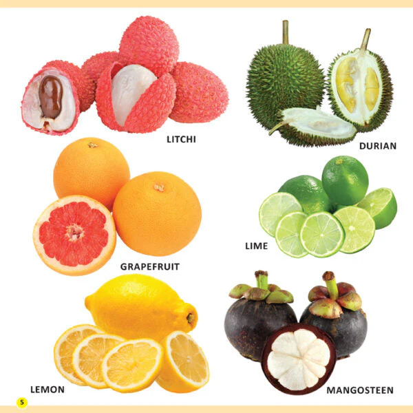 My First Library Fruits and Vegetables - Image 4