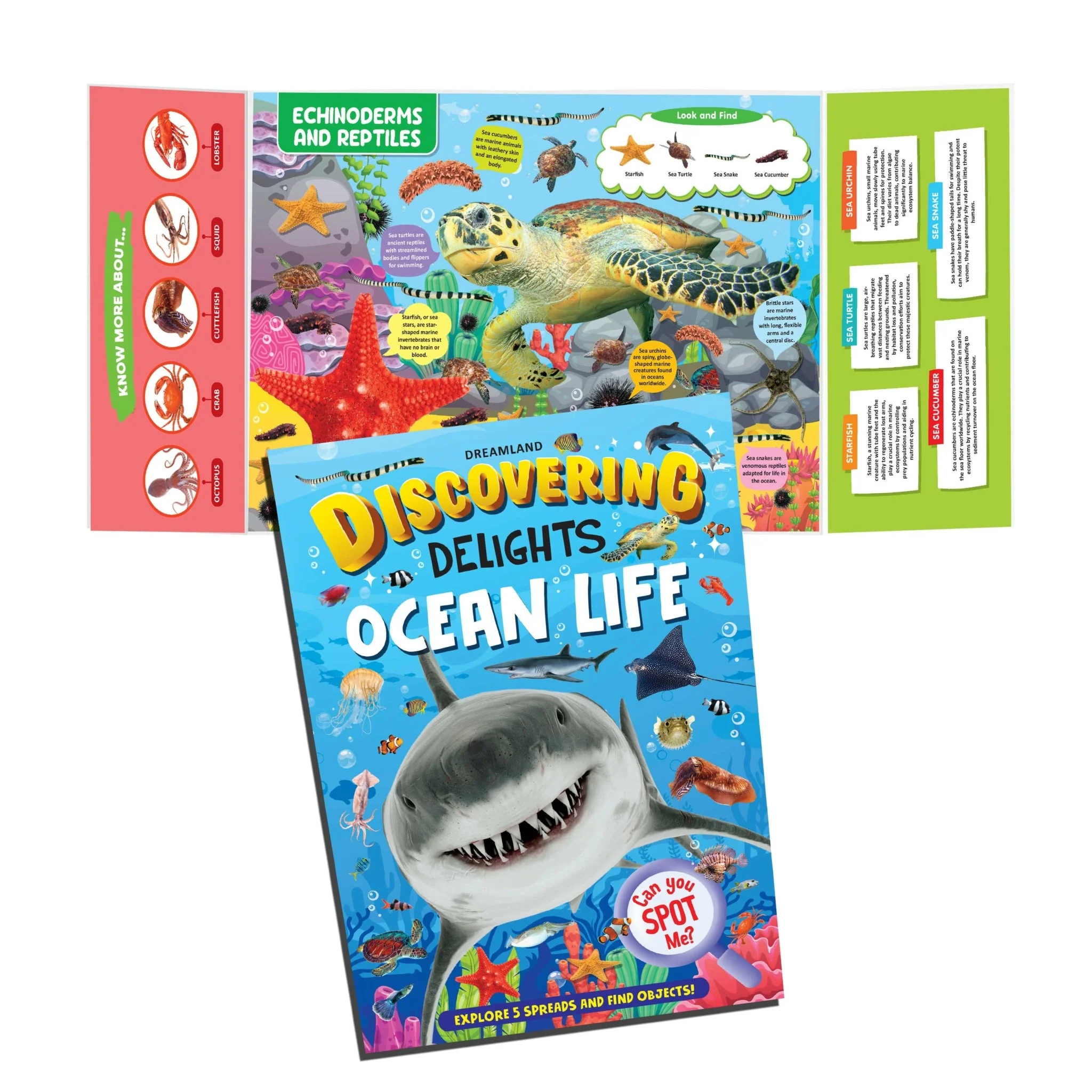 Ocean Life Discovering Delights Flap Book for Kids Age 4 - 10 years - Image 4