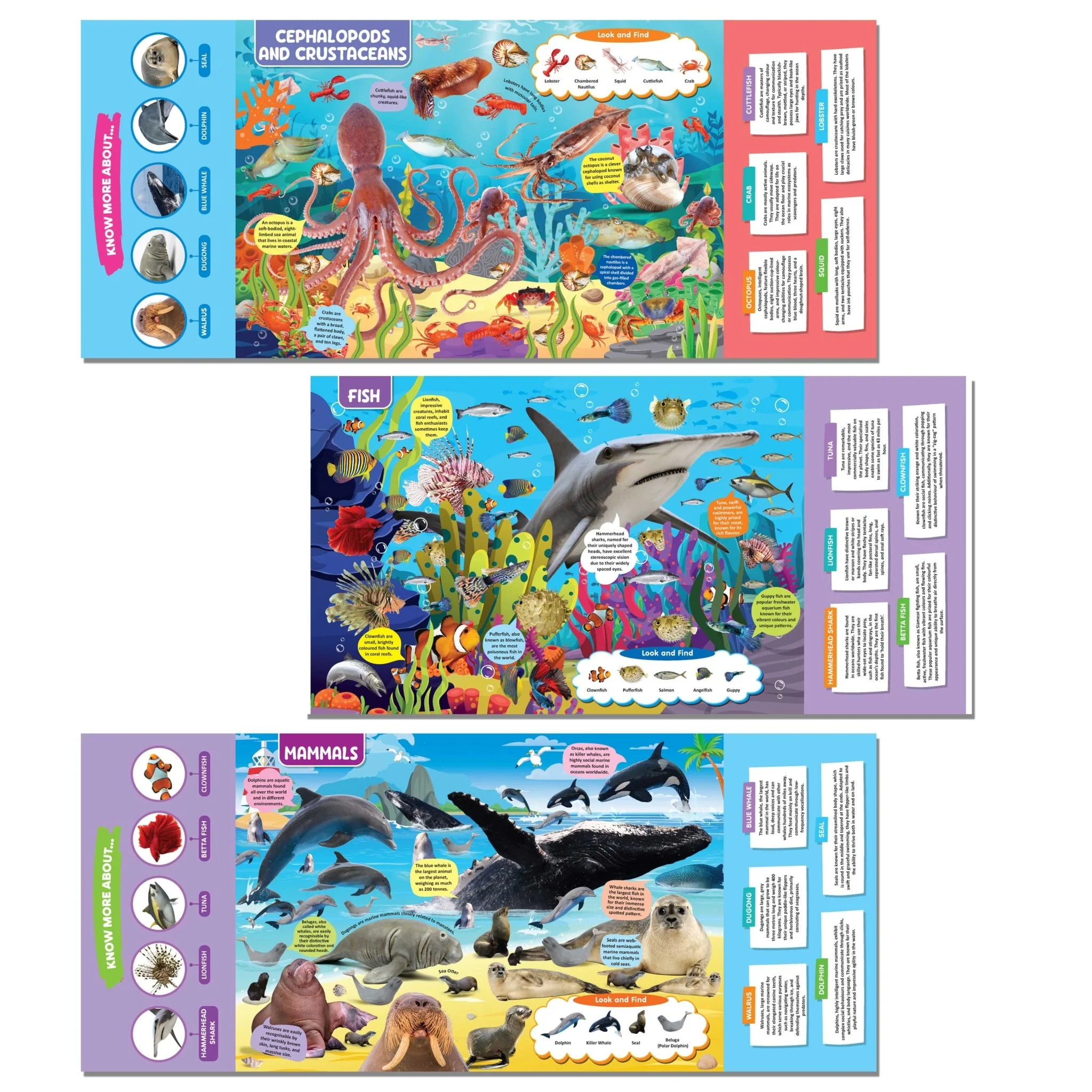 Ocean Life Discovering Delights Flap Book for Kids Age 4 - 10 years - Image 5