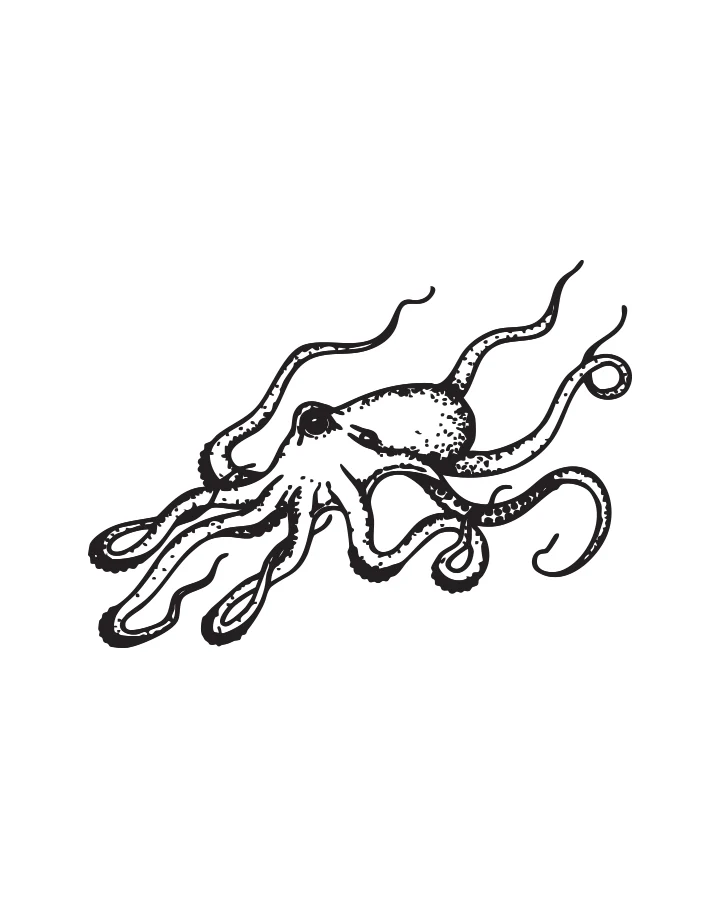 Octopus Flow