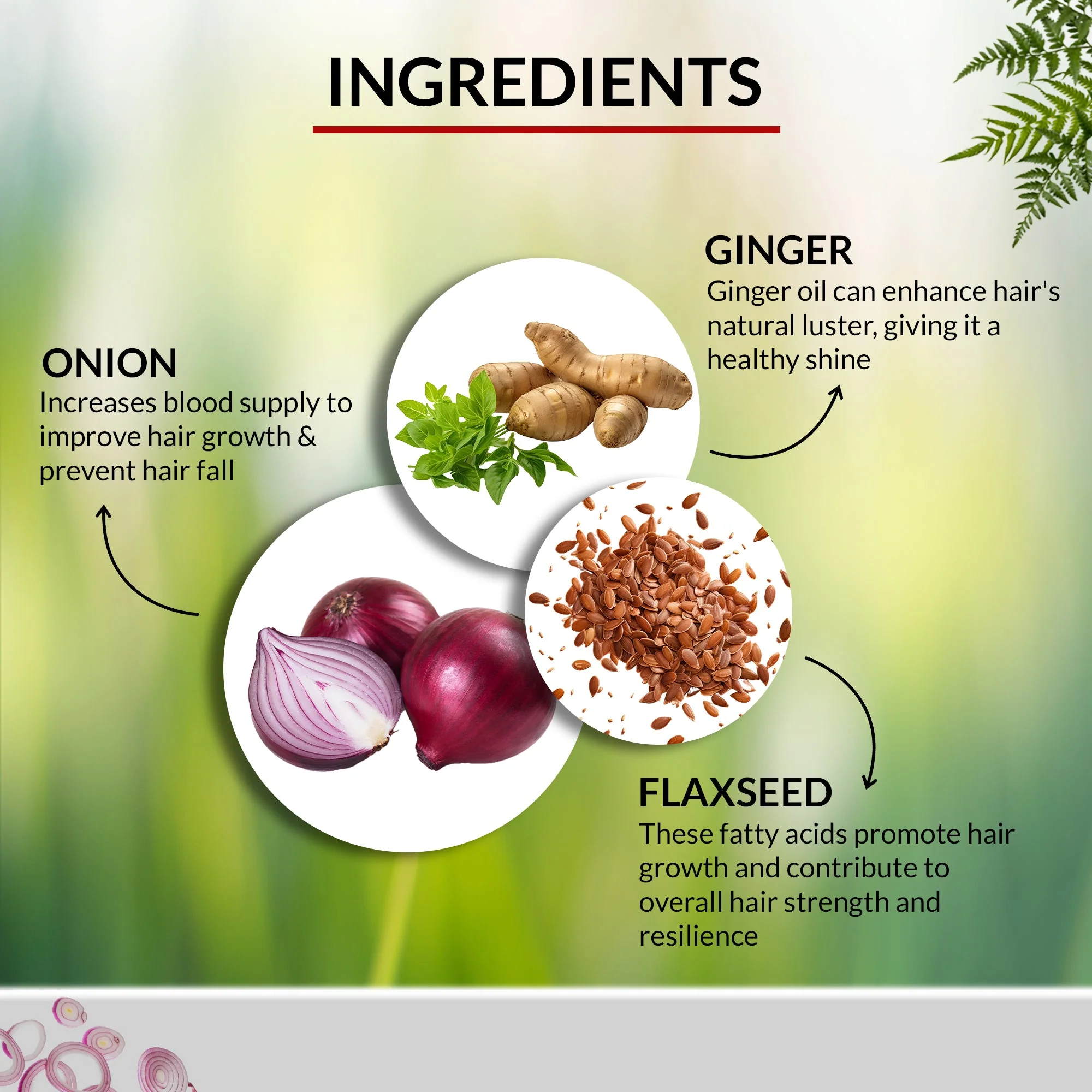 OG BEAUTY Natural Onion Hair Oil 200 ML - Image 3