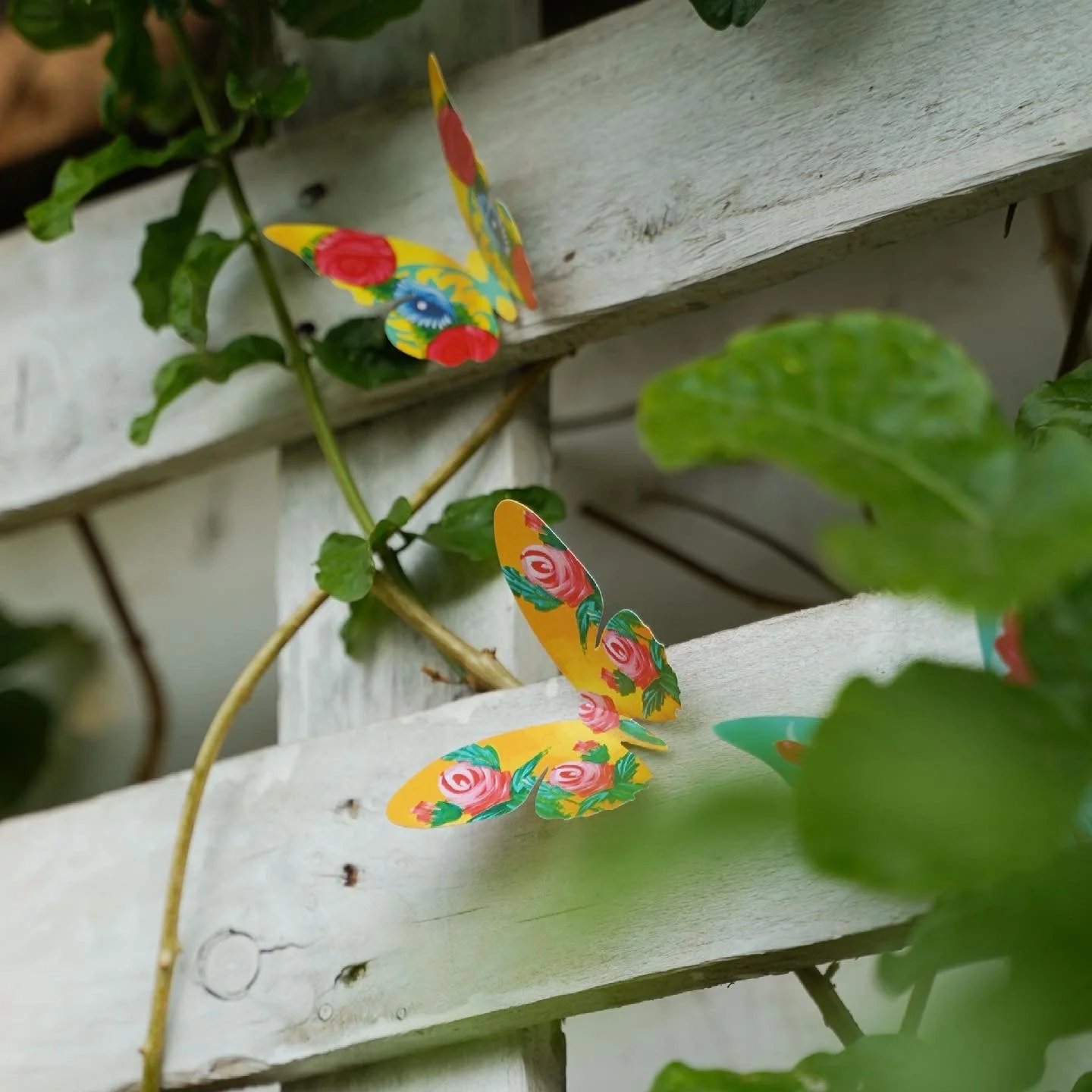 Paper Butterflies for Wall Decoration: Set of 24 - Image 17