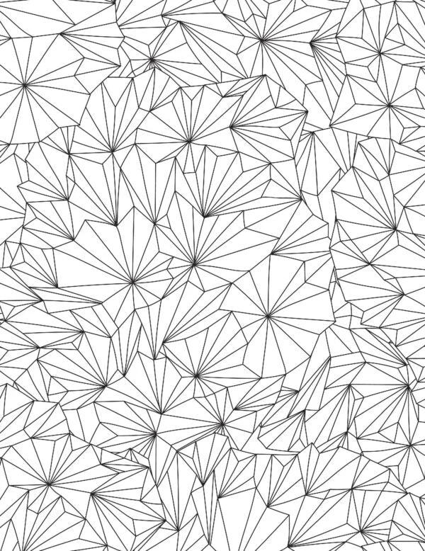 Patterns- Colouring Book for Adults - Image 2