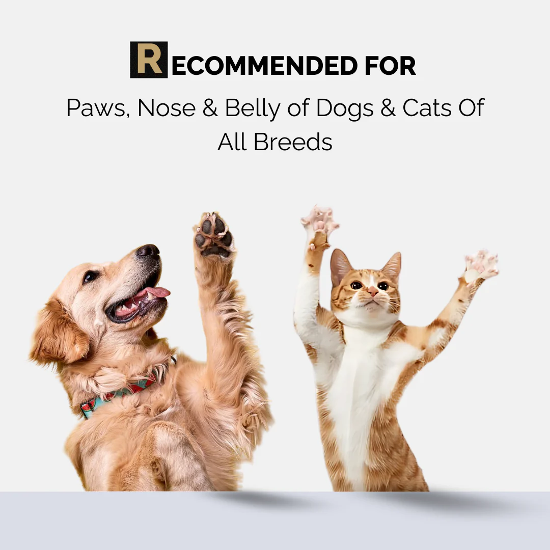 Paw Balm - Paw Cream for Dogs & Cats - Image 5