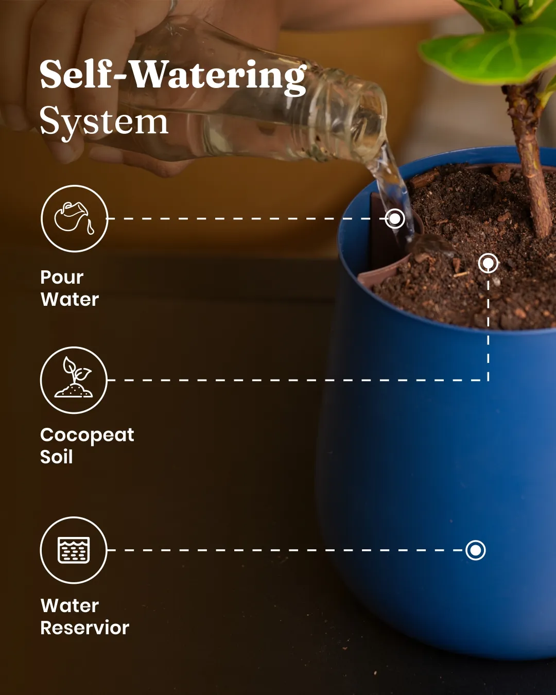Peace Lily Plant With Self Watering Pot_ - Image 38