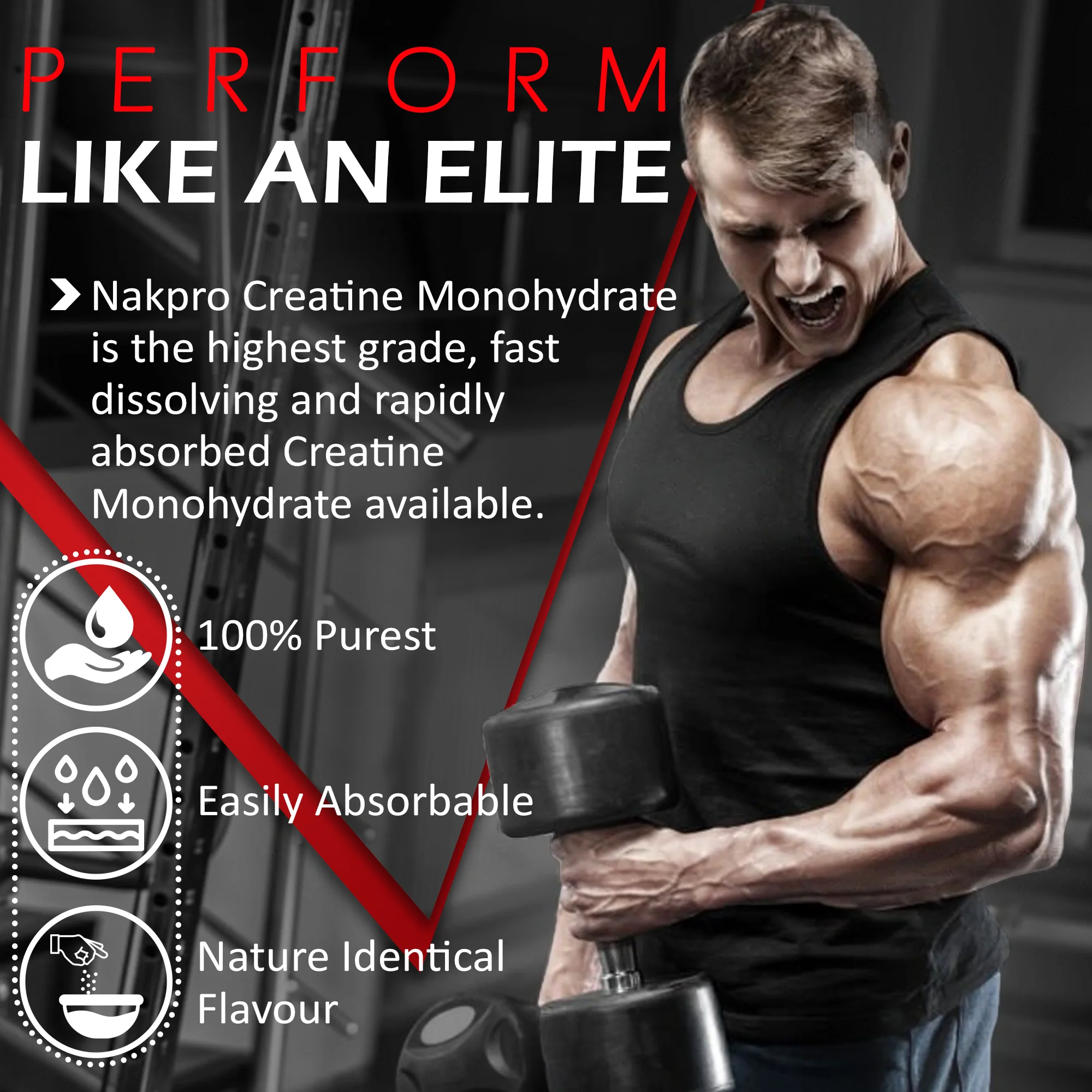 Perform Whey Protein Concentrate - Image 79
