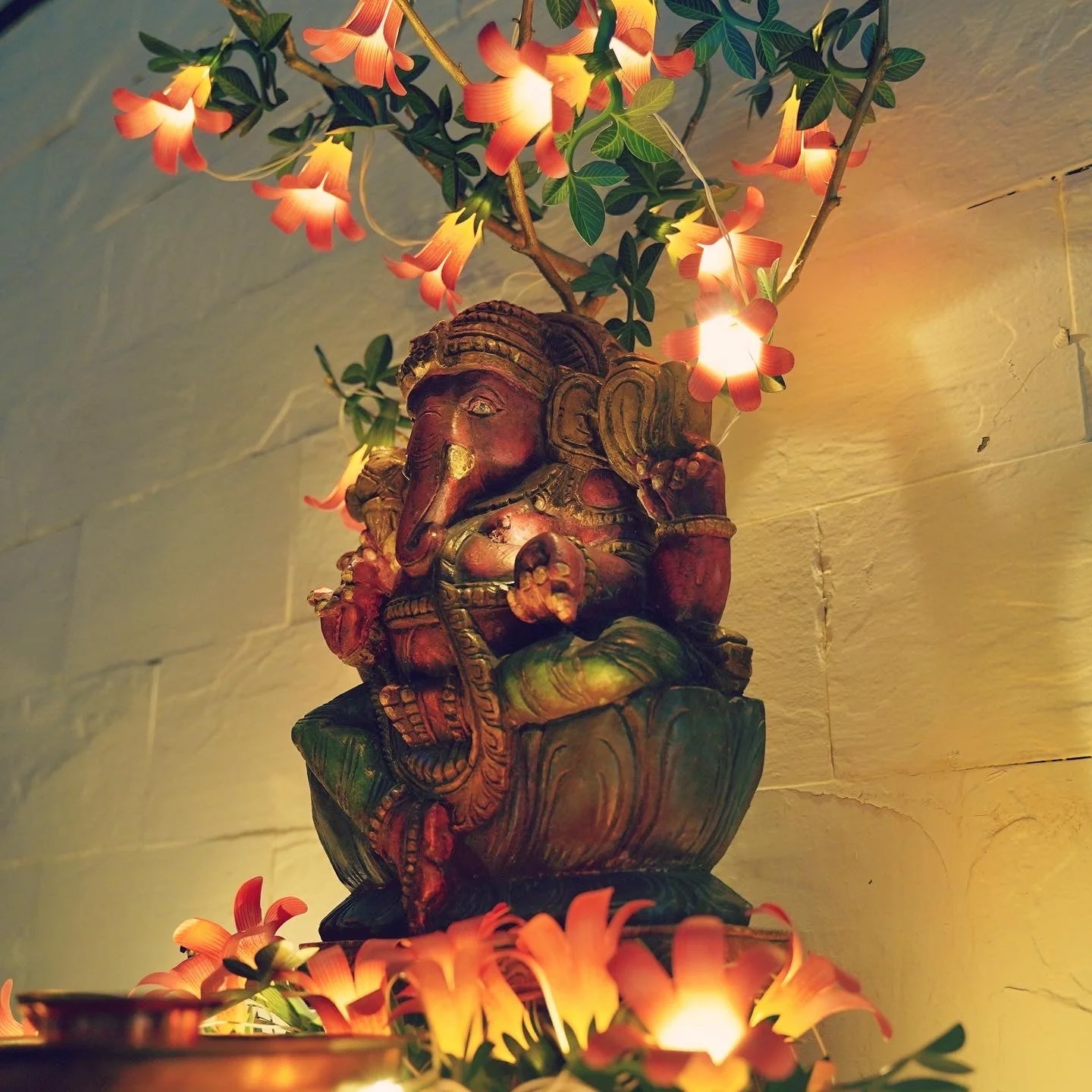 Pink Paper Flower Fairy Lights (12 flowers) - Image 22
