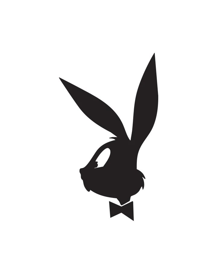 Playboy Bunny - Image 9