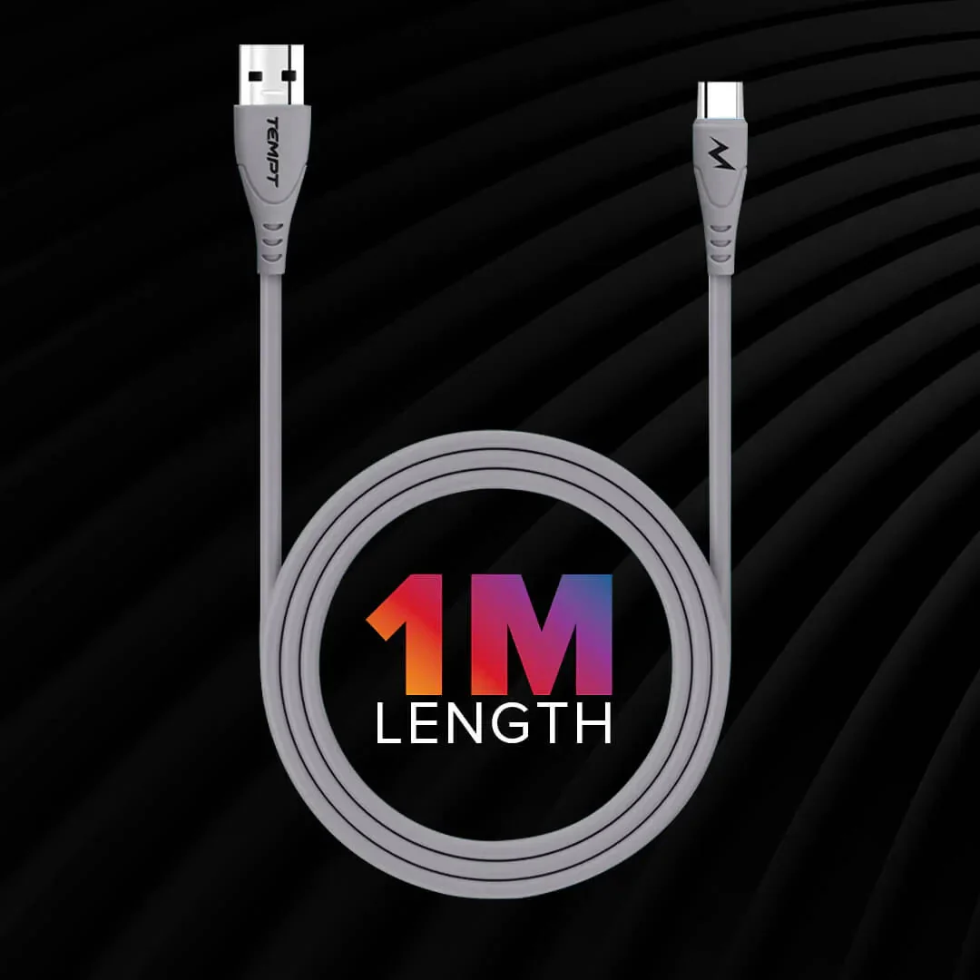 Punk USB to Type C Cable - Image 3