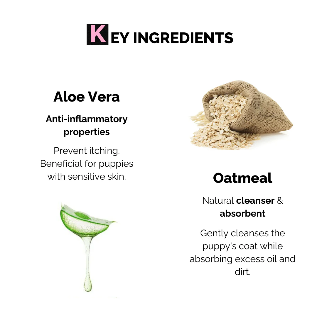 Puppy Foam Shampoo with Oatmeal & Aloe Vera (150ml) - Image 3