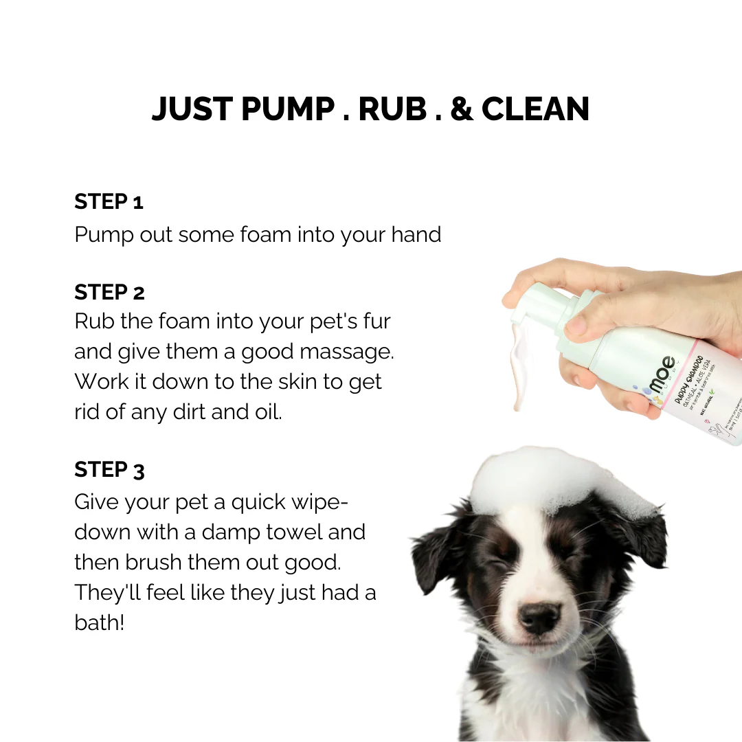 Puppy Foam Shampoo with Oatmeal & Aloe Vera (150ml) - Image 4