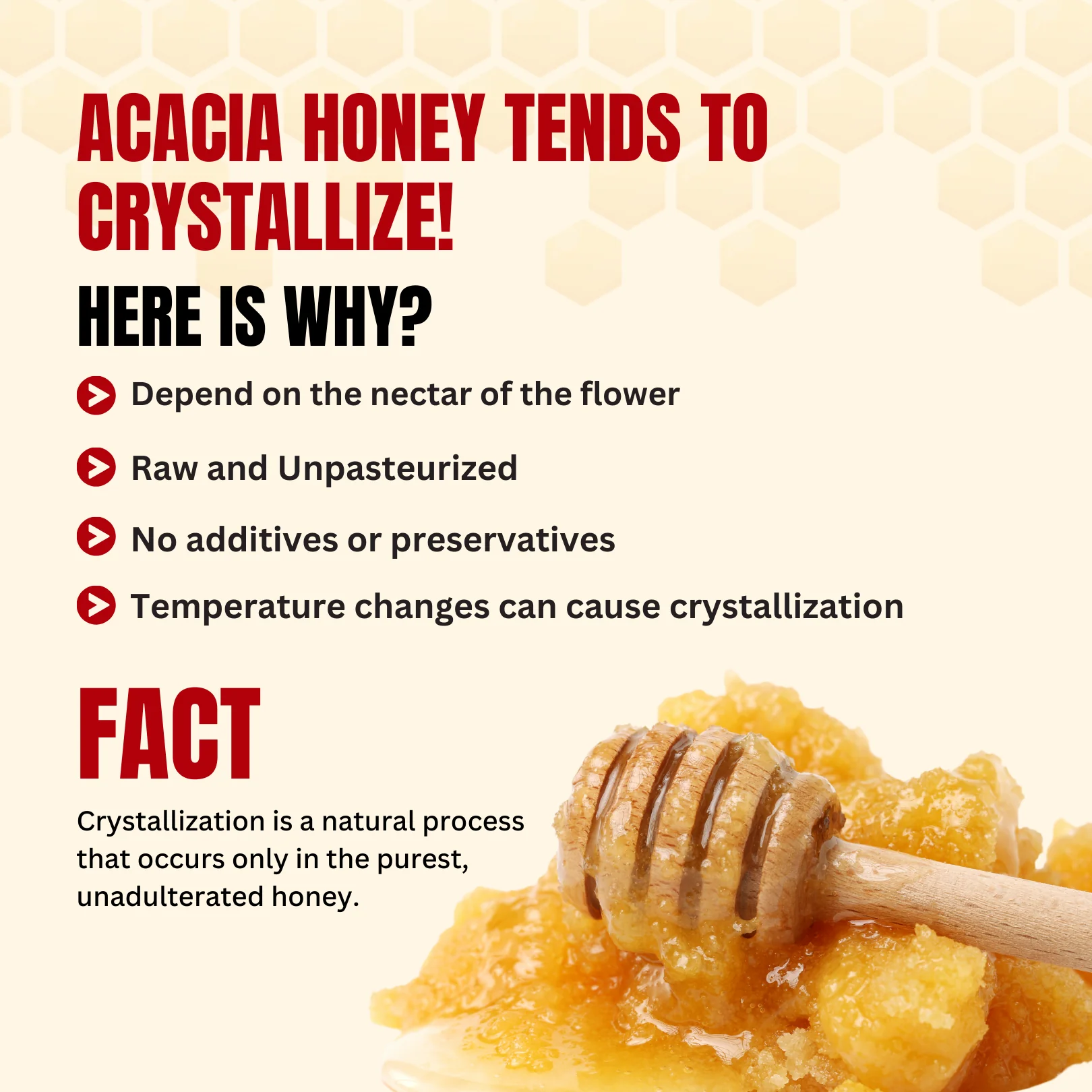 Rajasthan Acacia Honey 400g | 100% Pure– Light, Floral & Energy-Boosting - Image 10