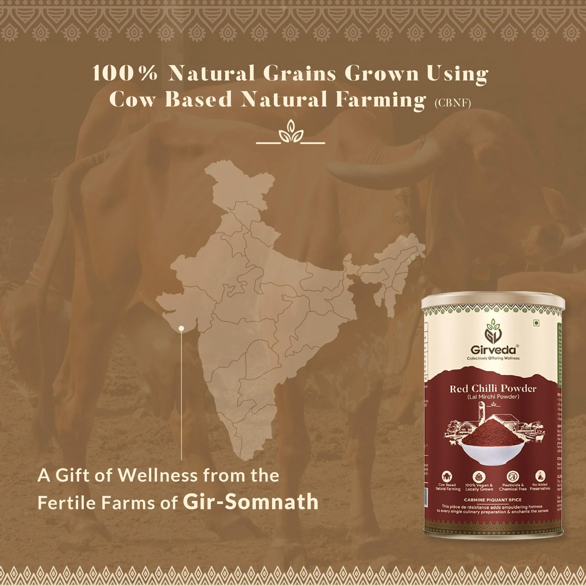 Red Chilli Powder - Image 5