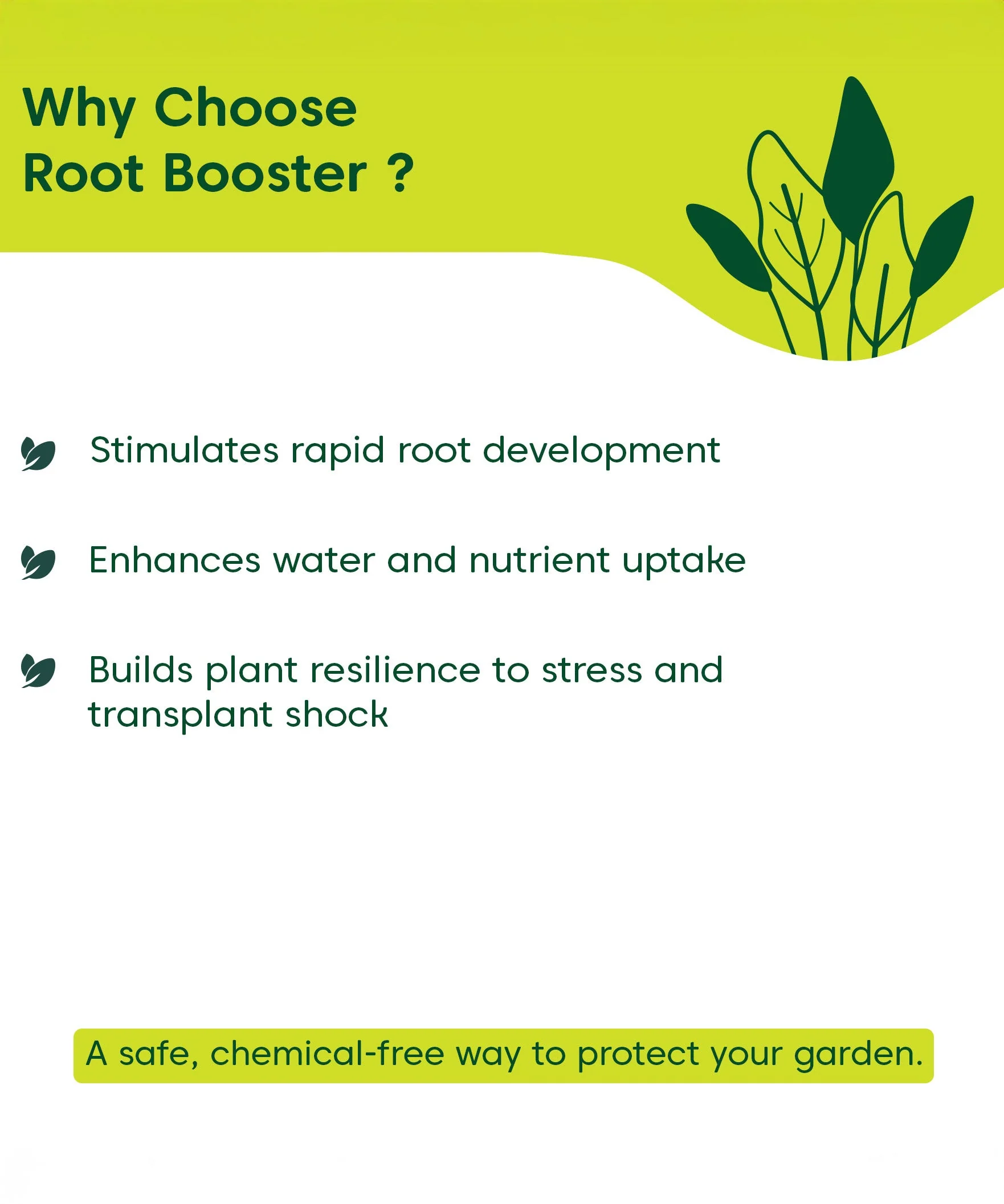 Root Booster for Plants - Image 3