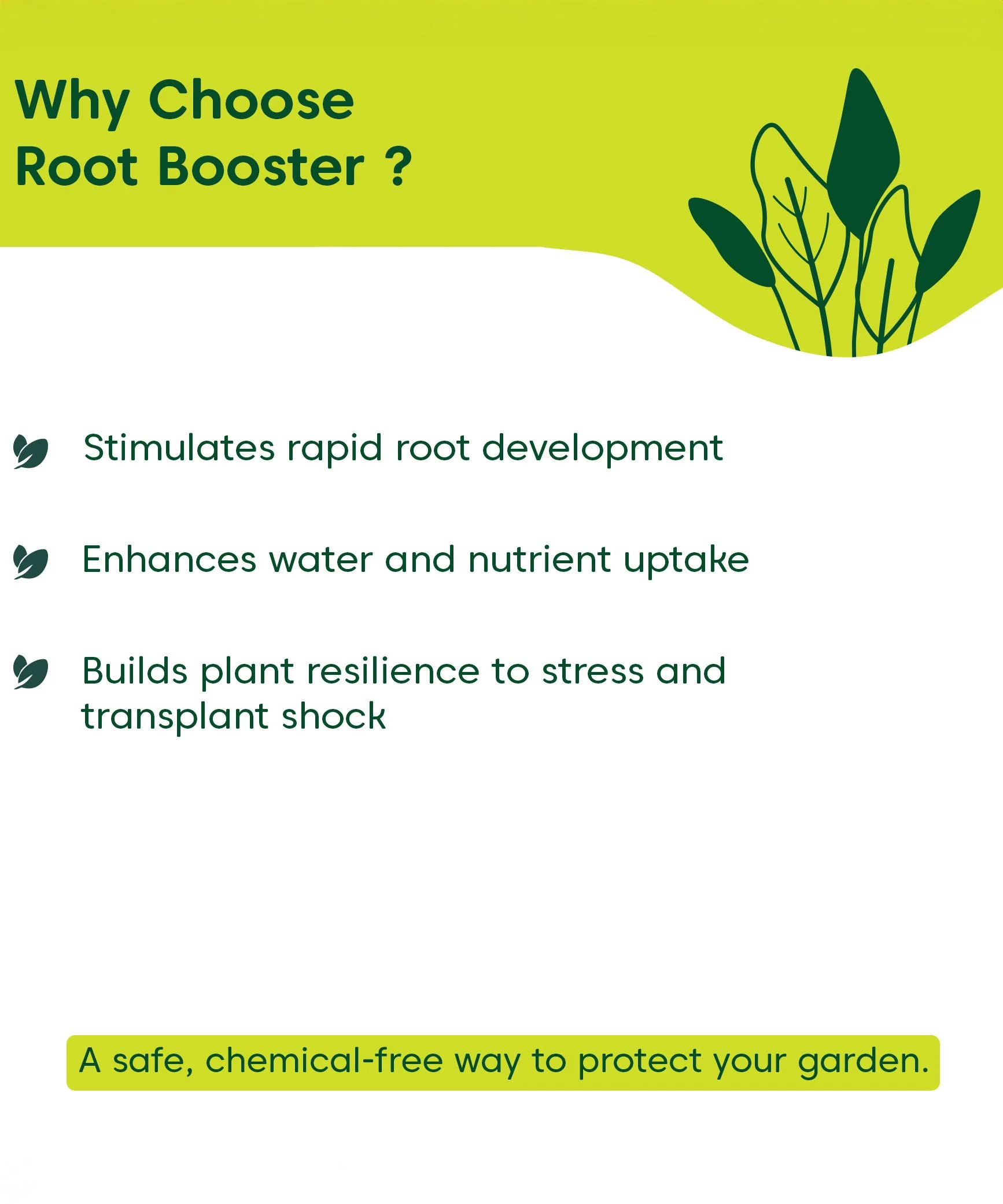 Root Booster for Plants - Image 9
