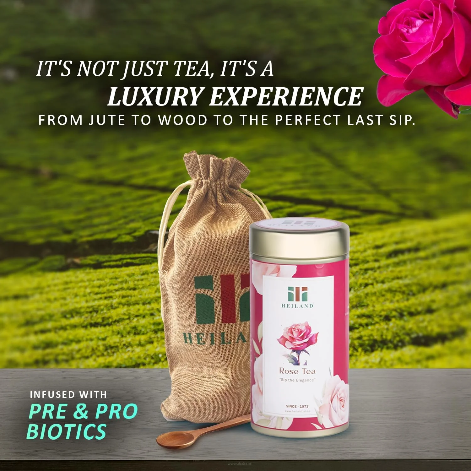 Rose Tea - Image 7
