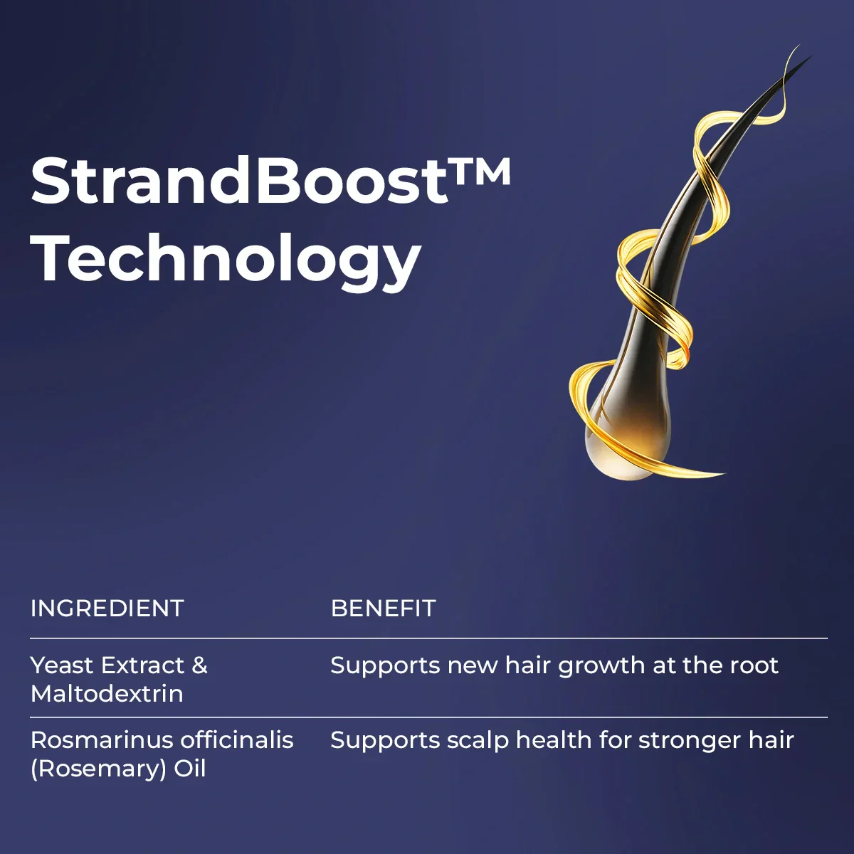 Rosemary Hair Growth Oil | 100 ml | Sale - Image 2