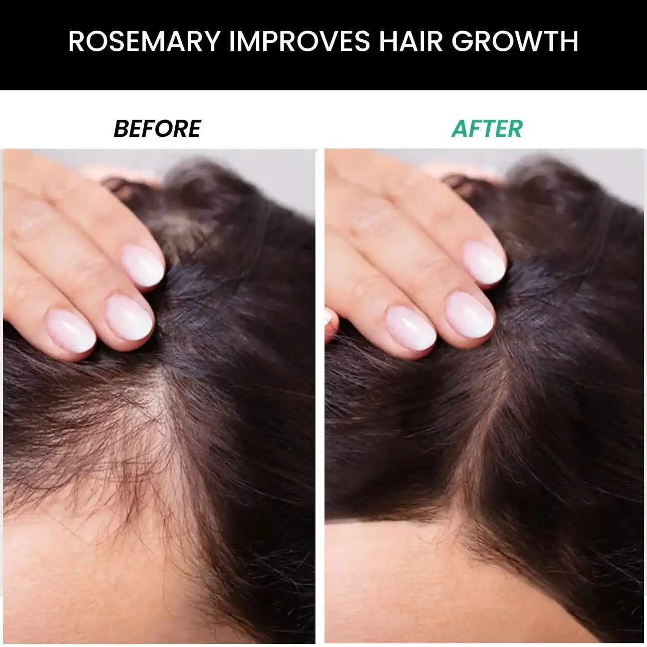 Rosemary Kit: Rosemary Shampoo(250ml), Conditioner (250ml) & Rosemary Essential Oil (15ml) Combo - Image 3