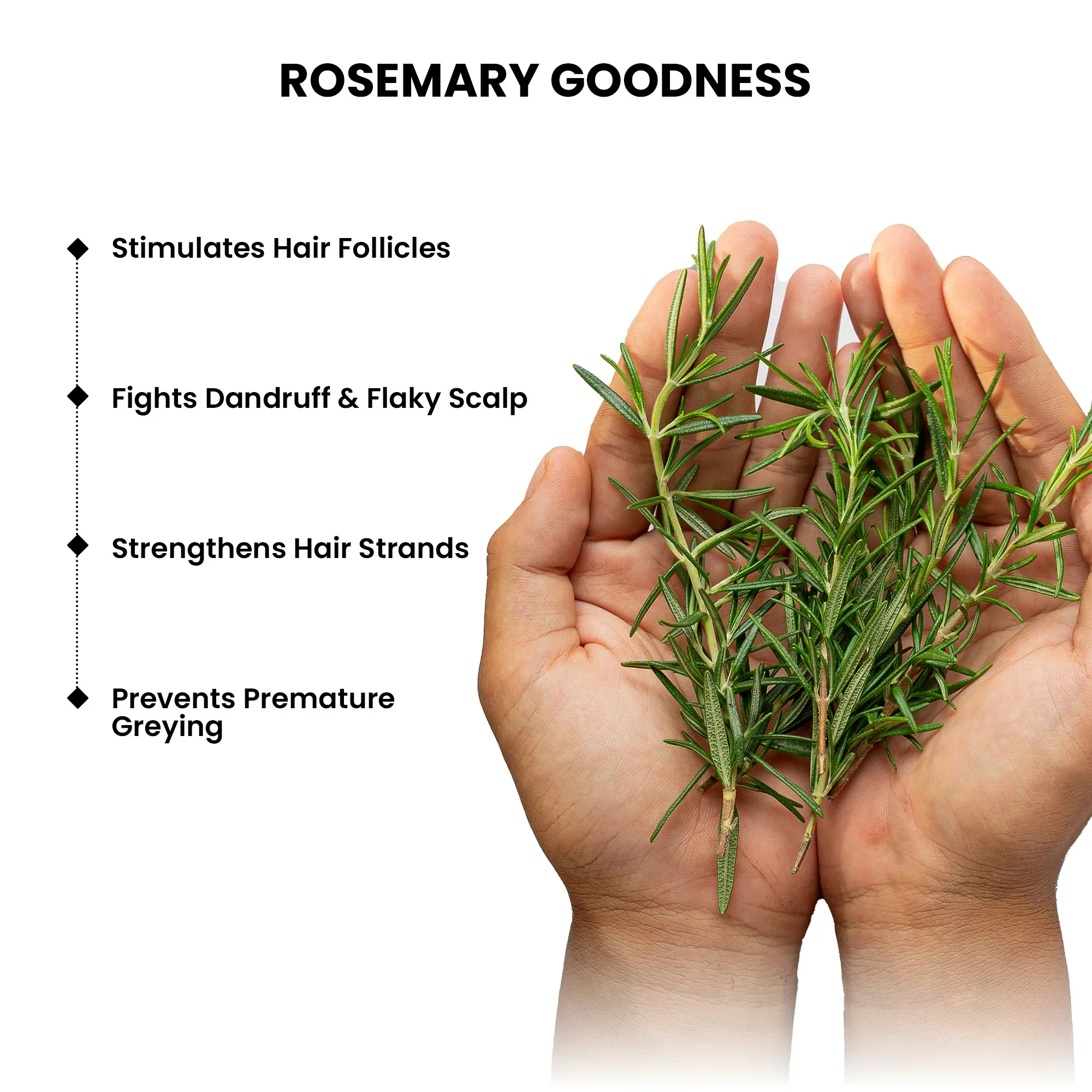 Rosemary Shampoo, 250ml - Image 5