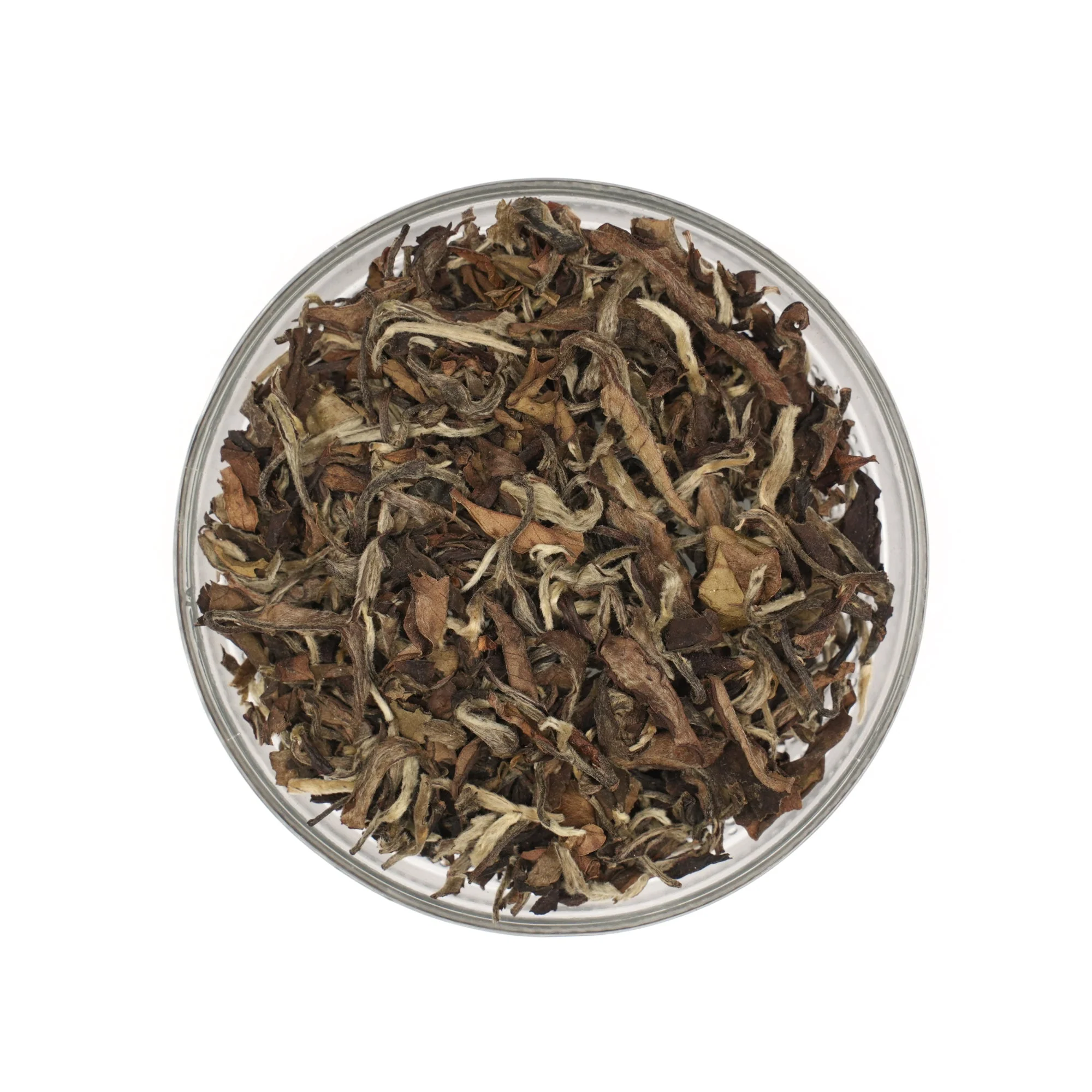 Saintly White Tea - Loose Leaf - Image 4