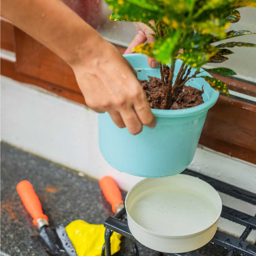 Self Watering Plastic Pot - Image 2